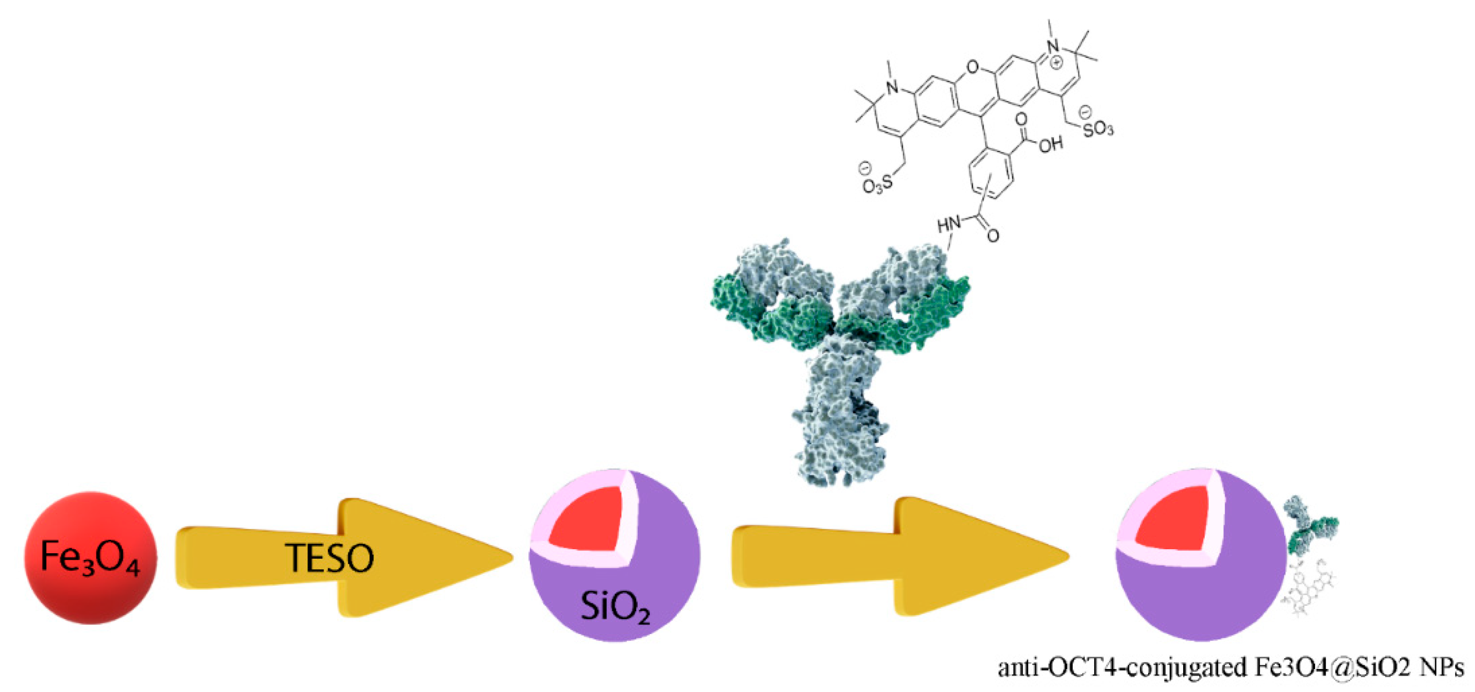 Biosensors 13 00268 g009