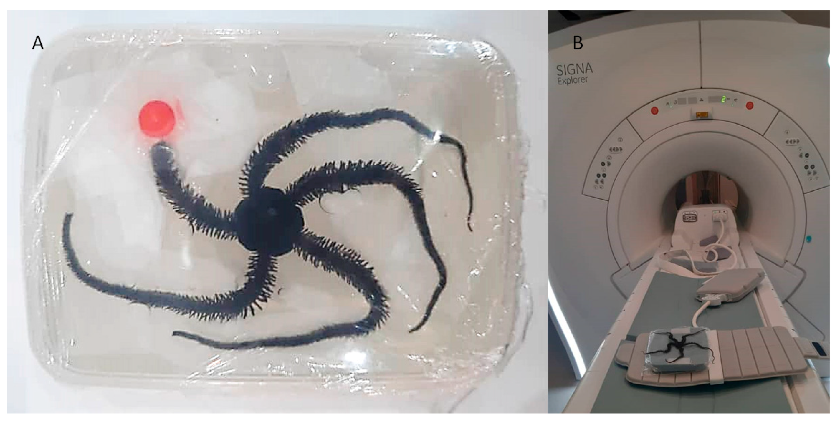 Biosensors 13 00268 g010