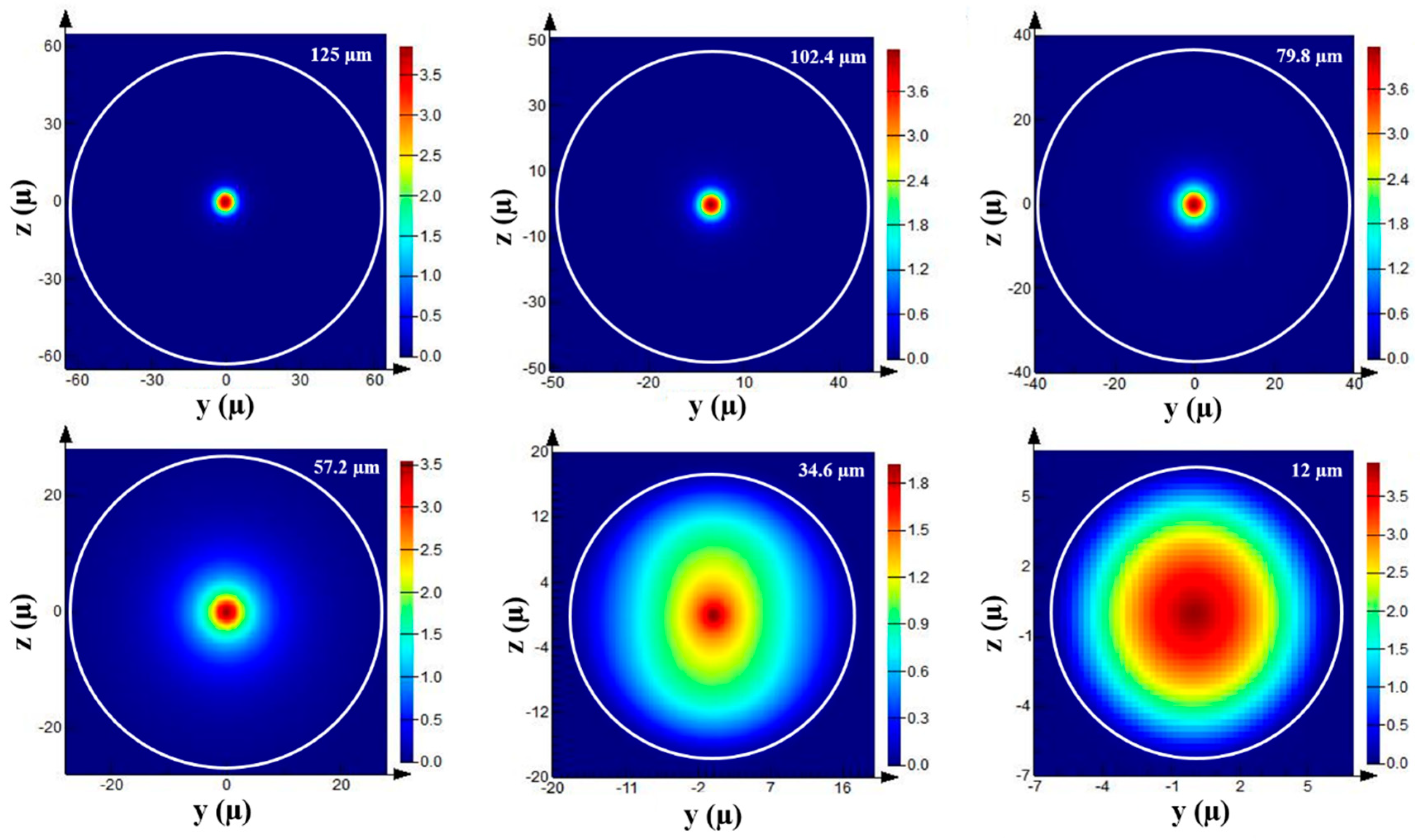 Biosensors 13 00270 g002 Biosensors 13 00270 g002