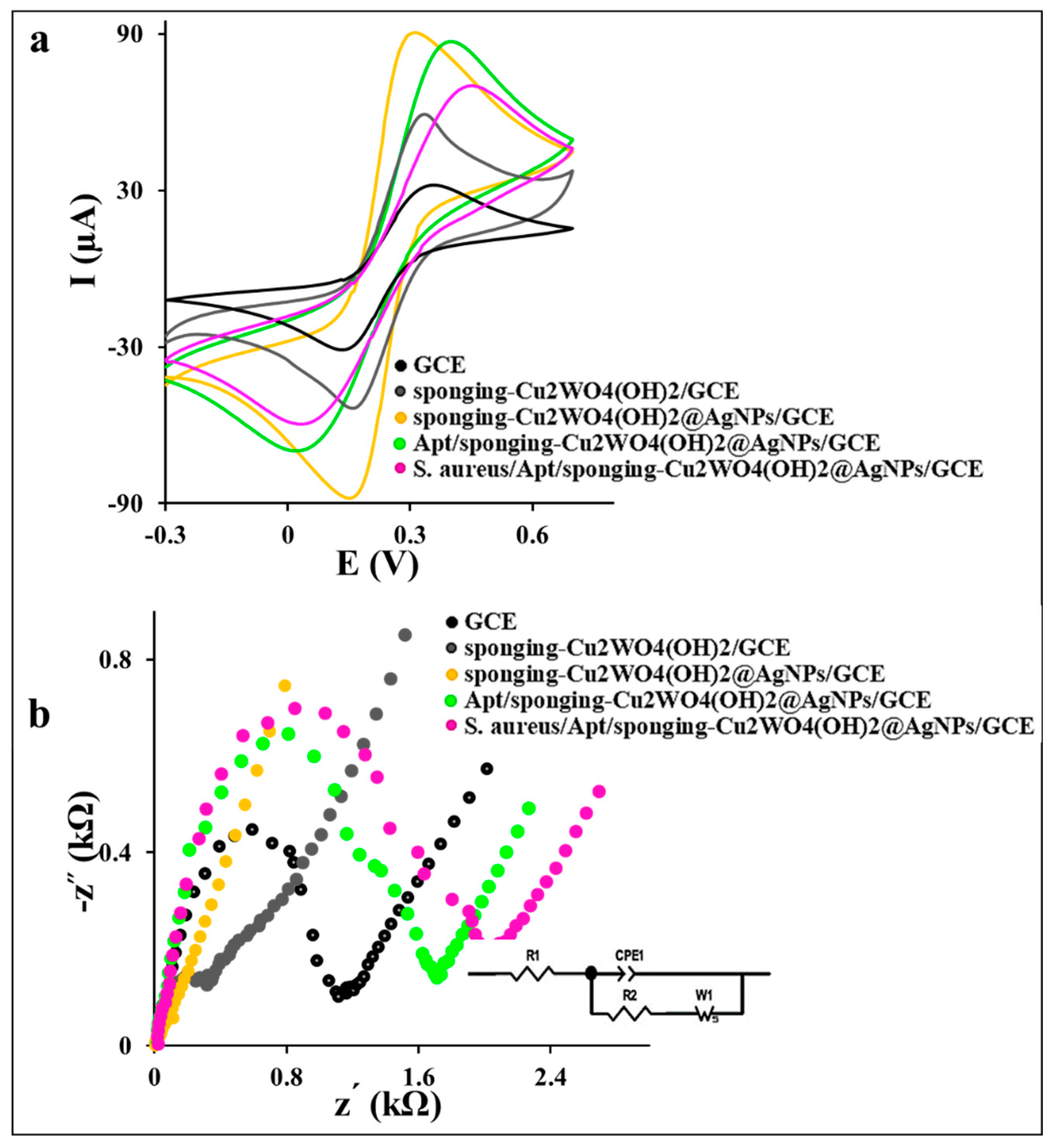 Biosensors 13 00271 g003