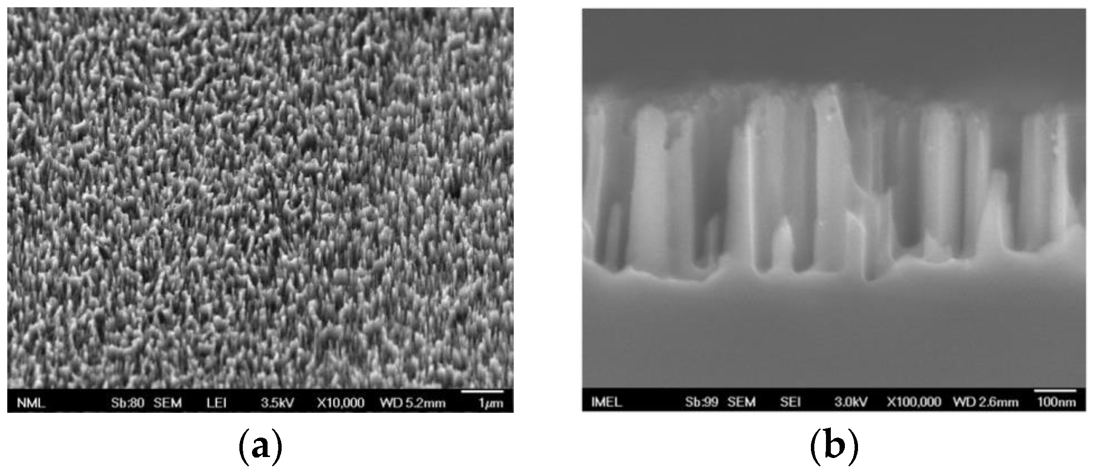 Biosensors 13 00273 g001a 550
