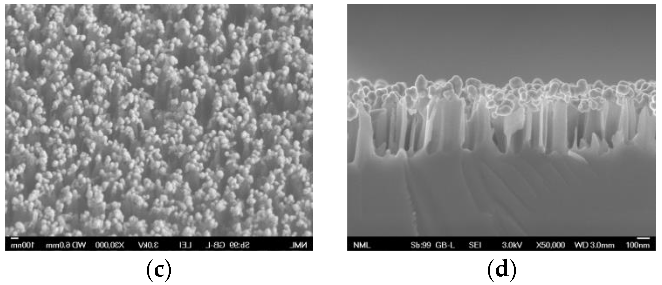 Biosensors 13 00273 g001b 550