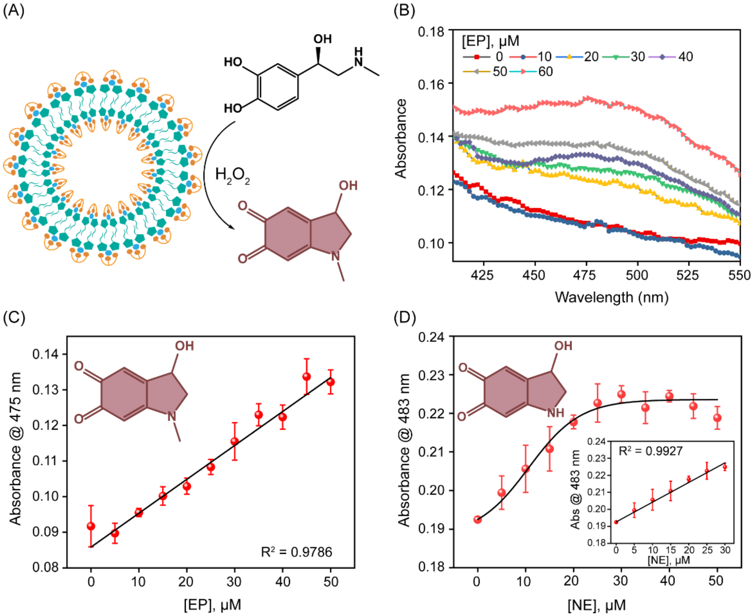 Biosensors 13 00277 g004