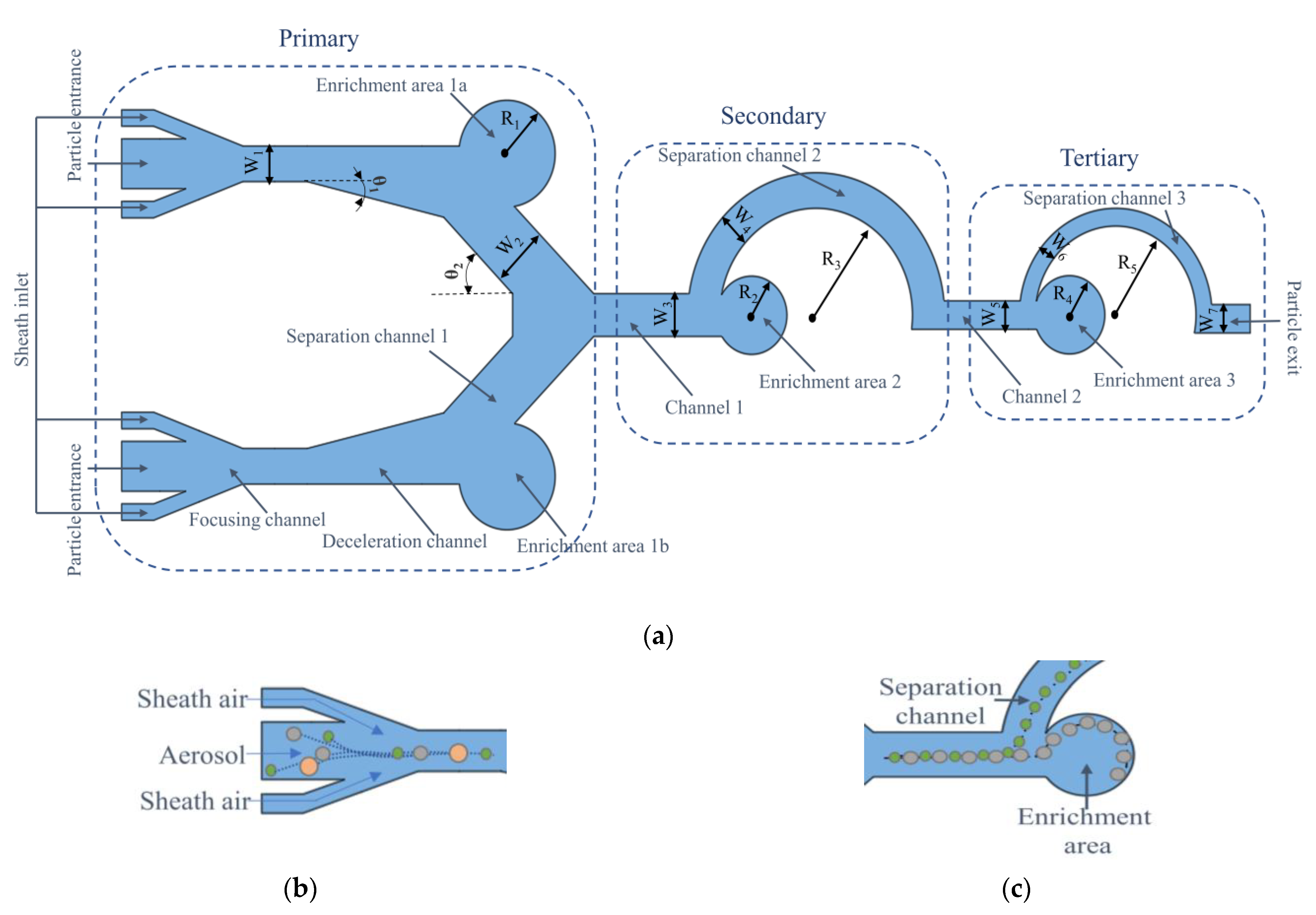 Biosensors 13 00278 g001
