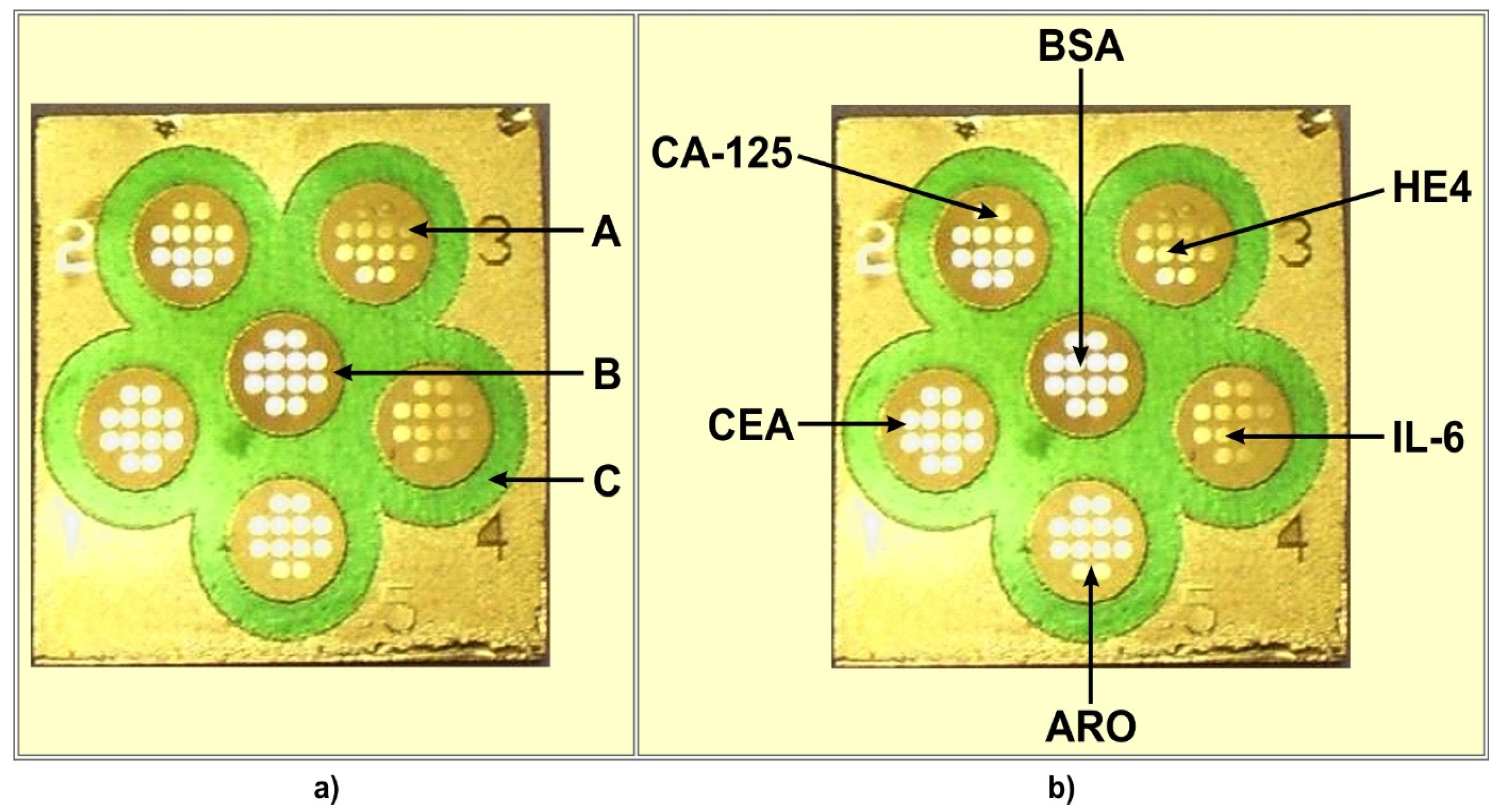 Biosensors 13 00279 g001 Biosensors 13 00279 g001