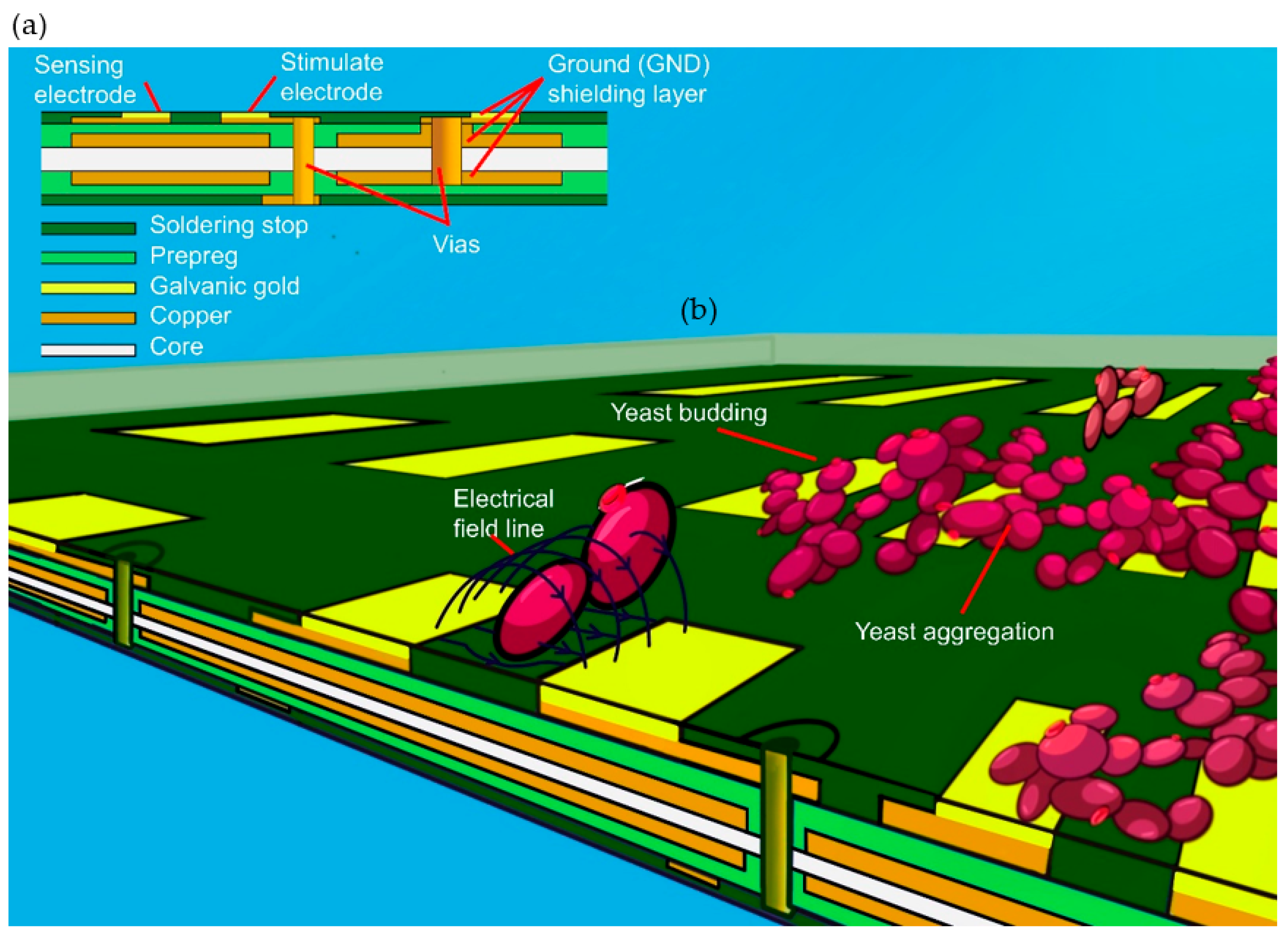 Biosensors 13 00281 g002 Biosensors 13 00281 g002