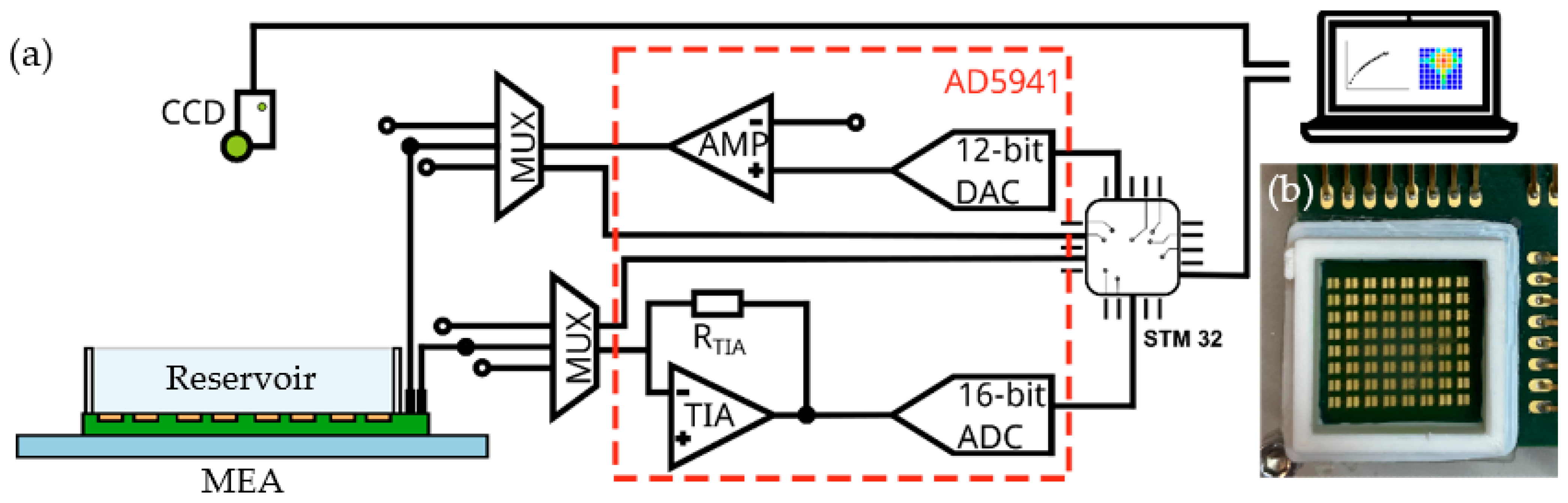 Biosensors 13 00281 g003 Biosensors 13 00281 g003