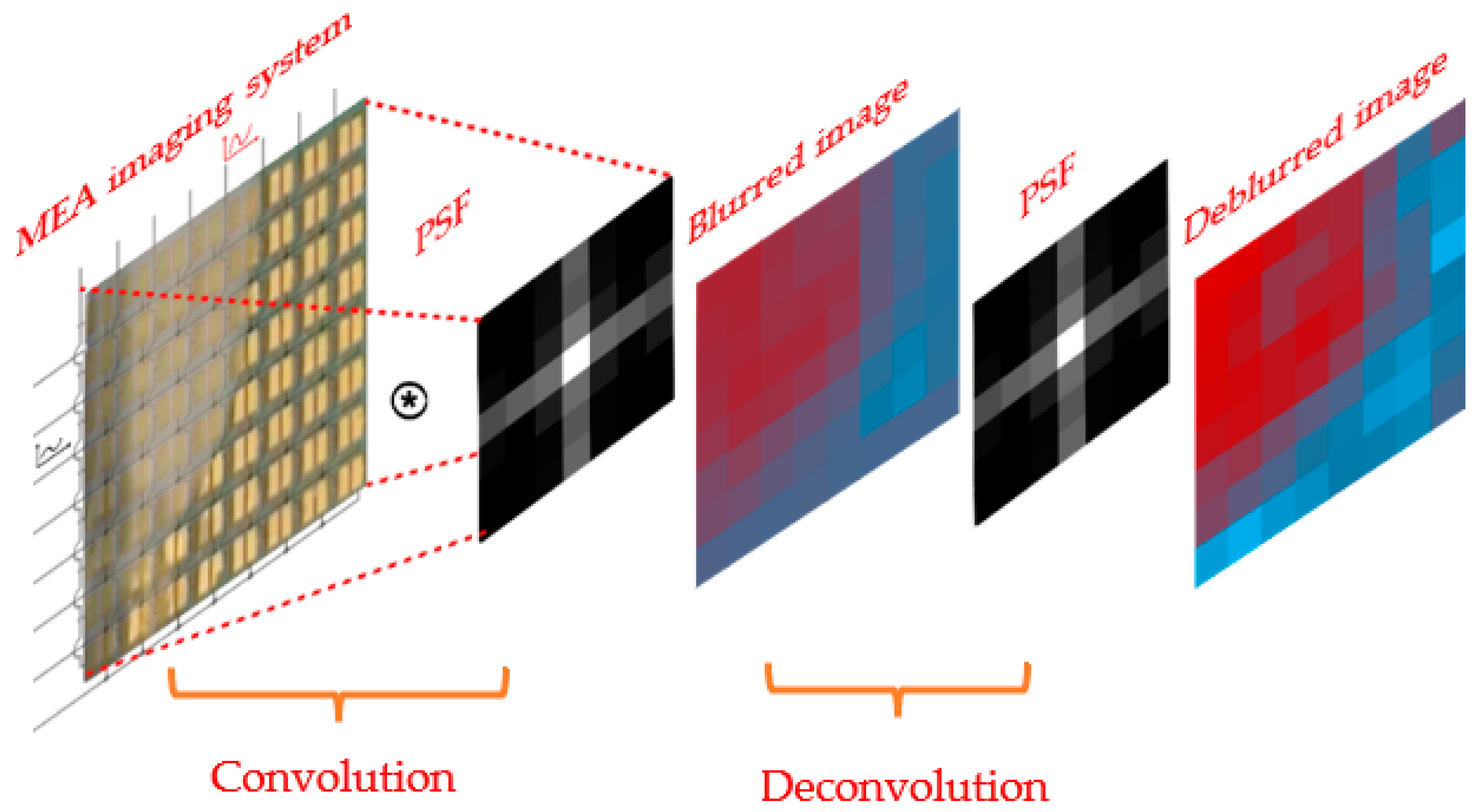 Biosensors 13 00281 g008 Biosensors 13 00281 g008