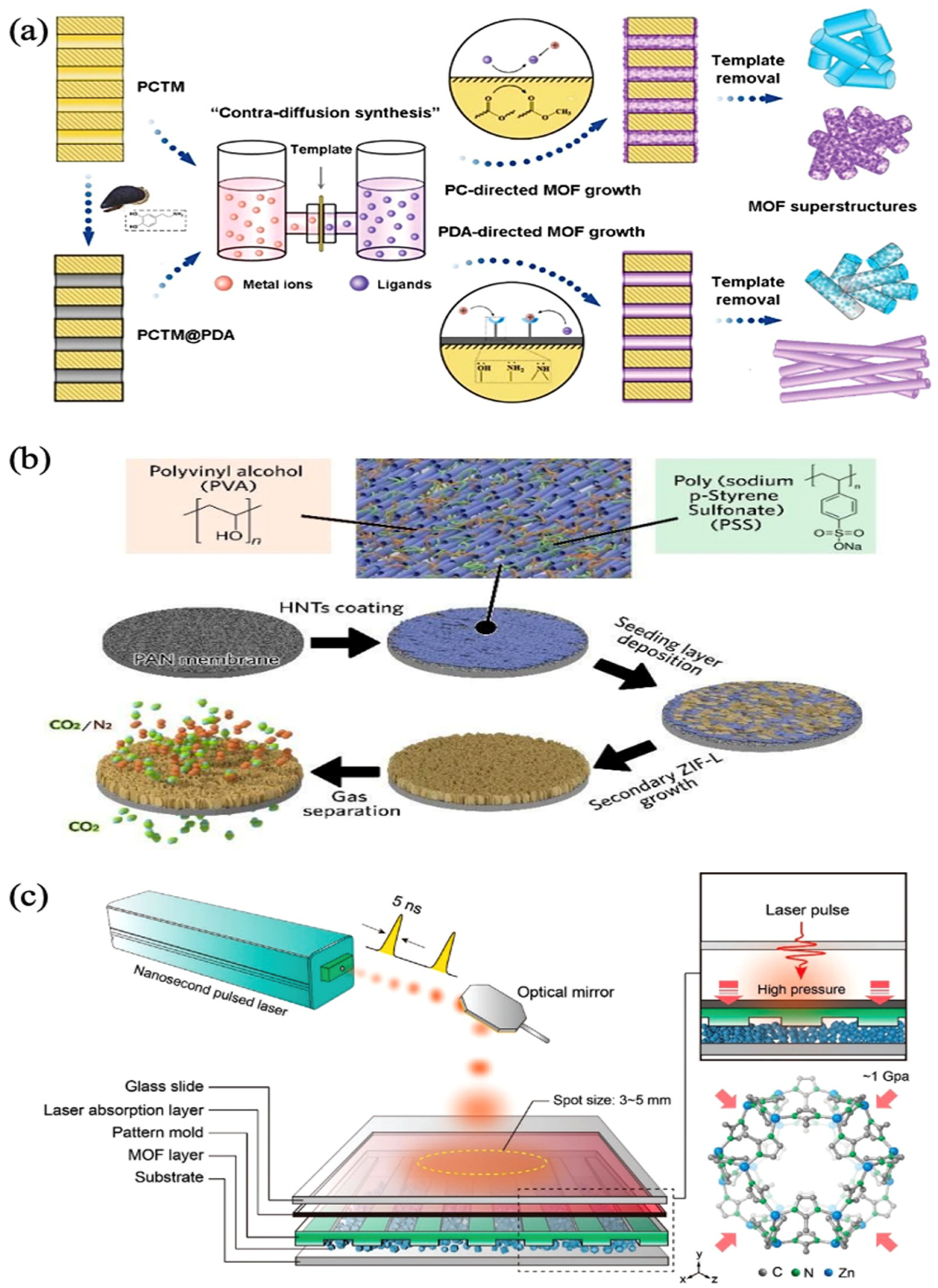 Biosensors 13 00284 g002