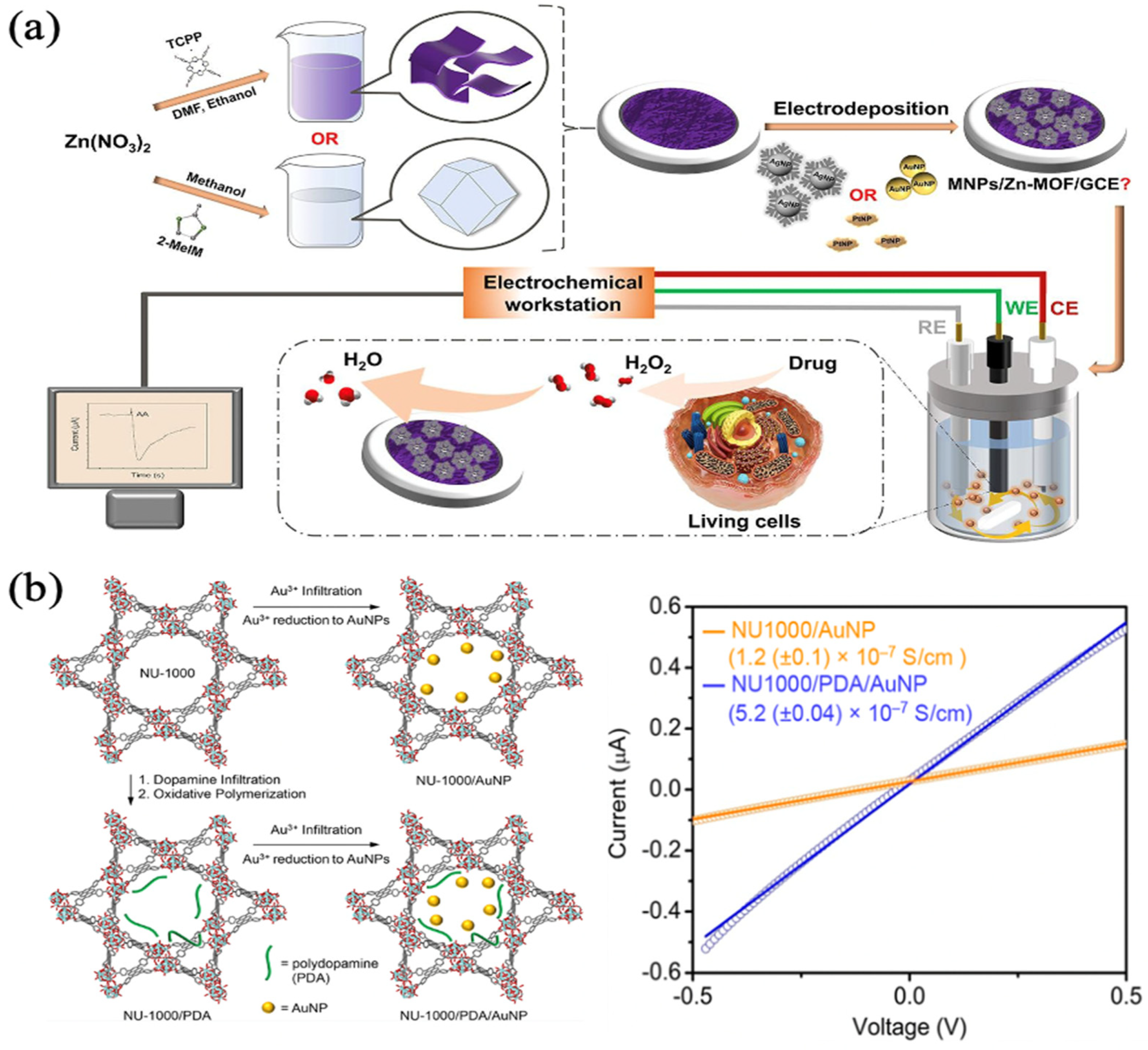Biosensors 13 00284 g004