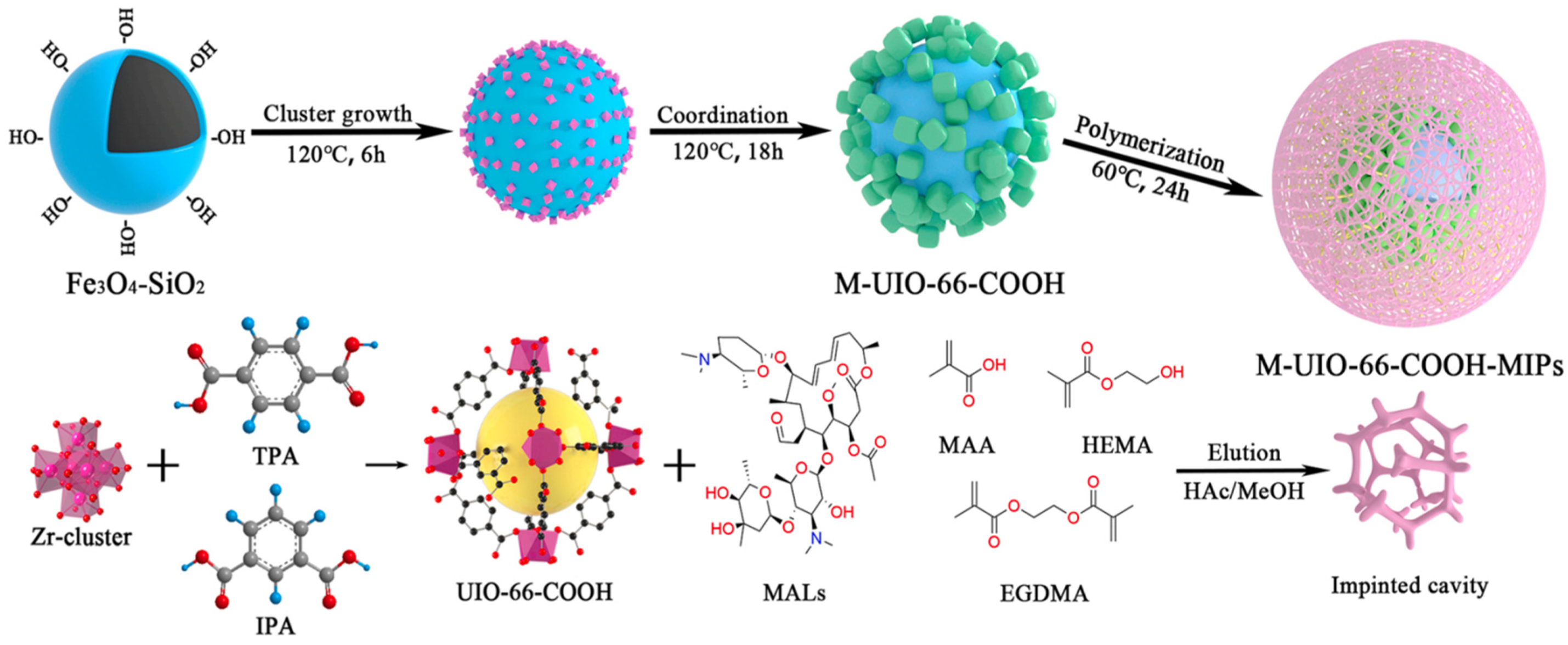 Biosensors 13 00284 g006