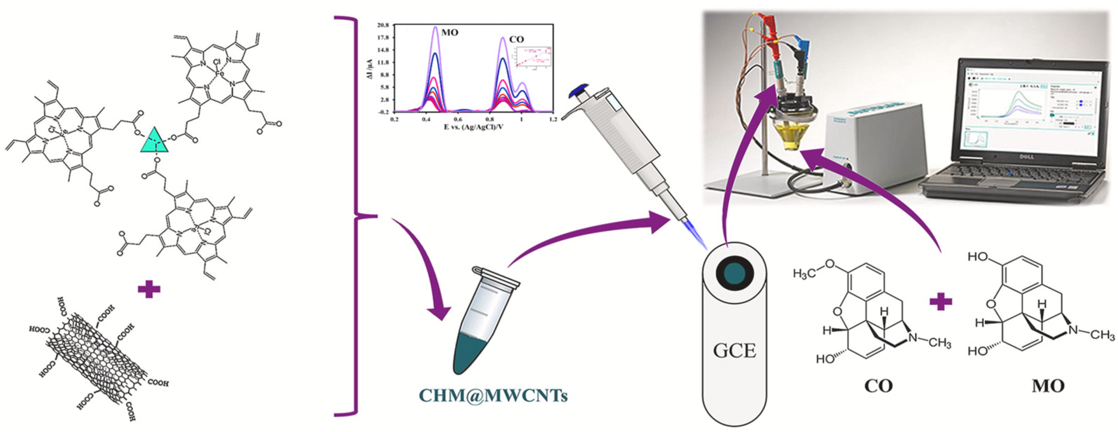 Biosensors 13 00284 g009