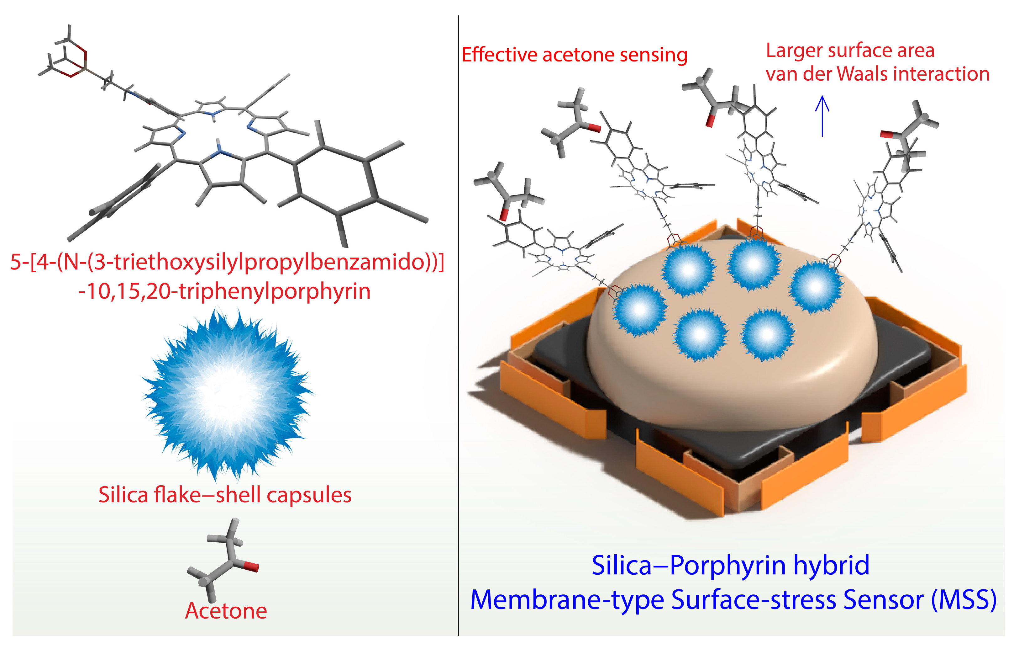 Biosensors 13 00286 g006