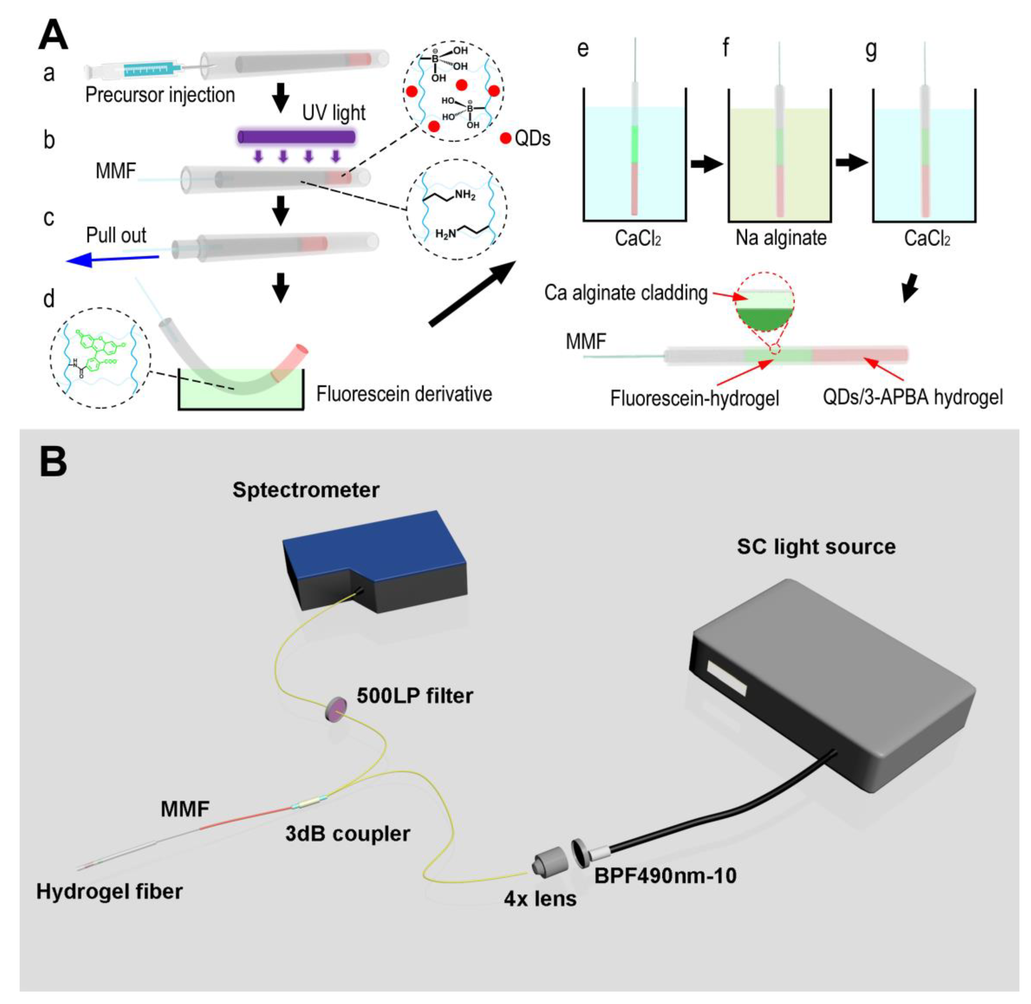 Biosensors 13 00287 g001