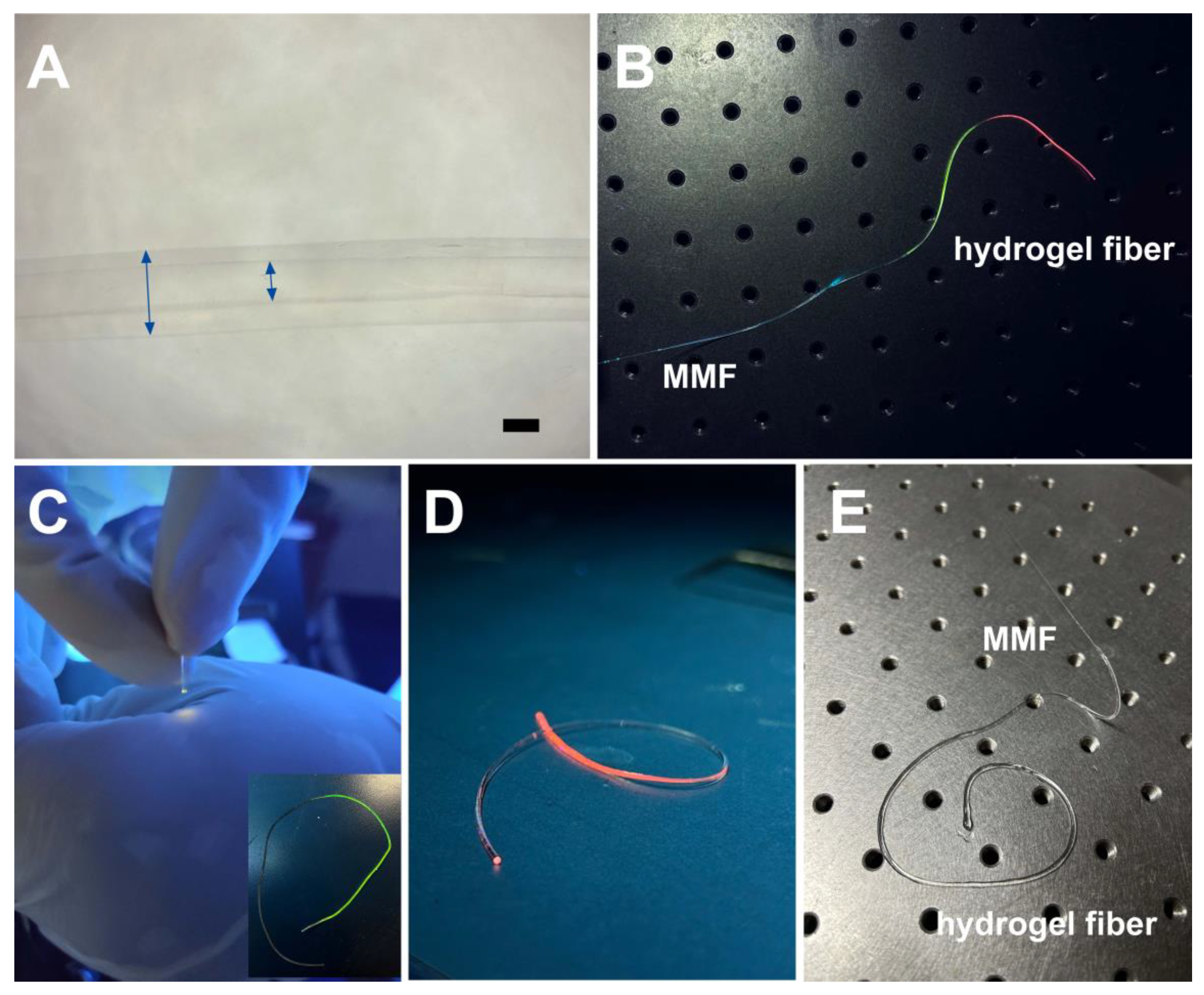 Biosensors 13 00287 g002