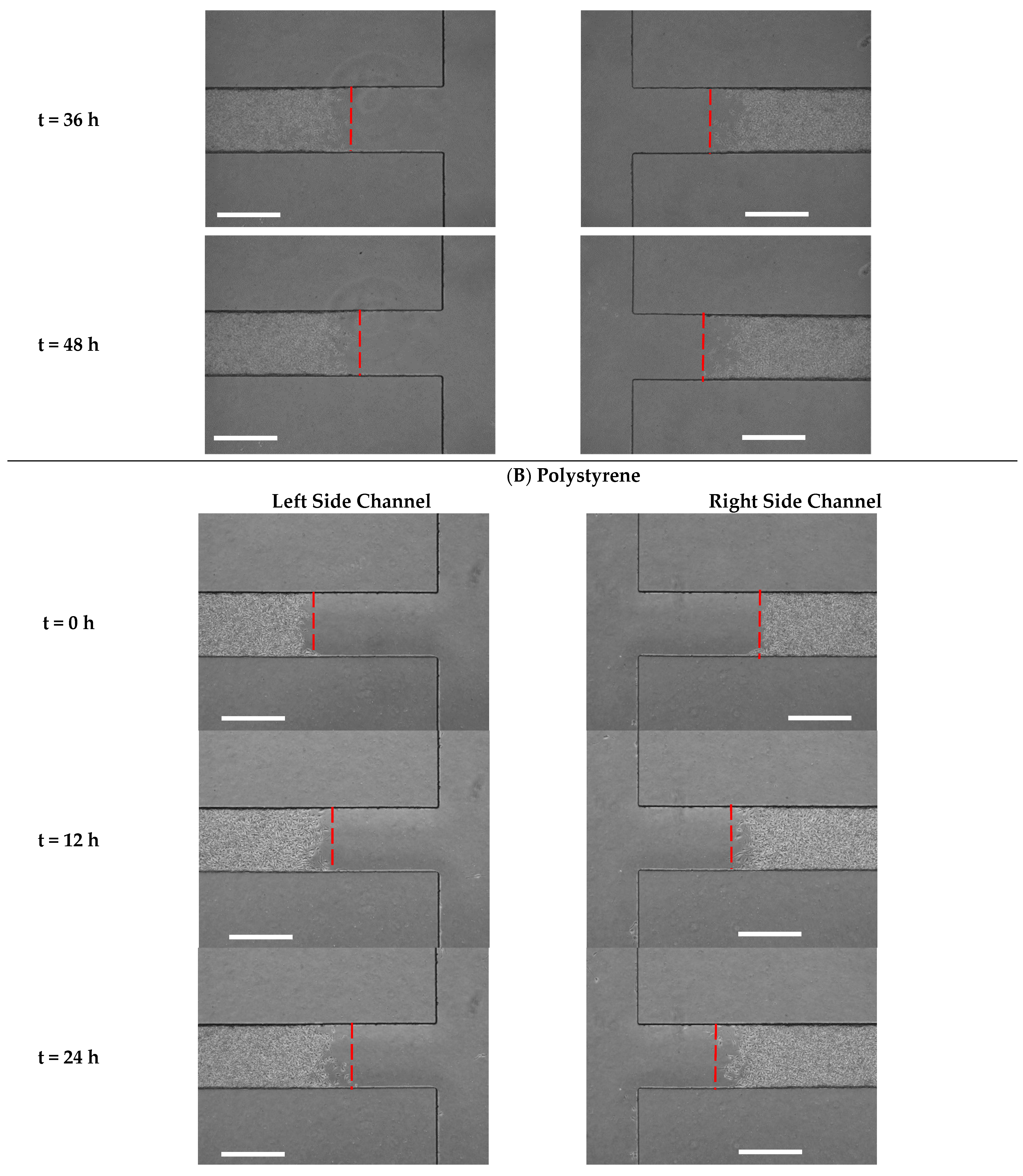 Biosensors 13 00290 g005b Biosensors 13 00290 g005b