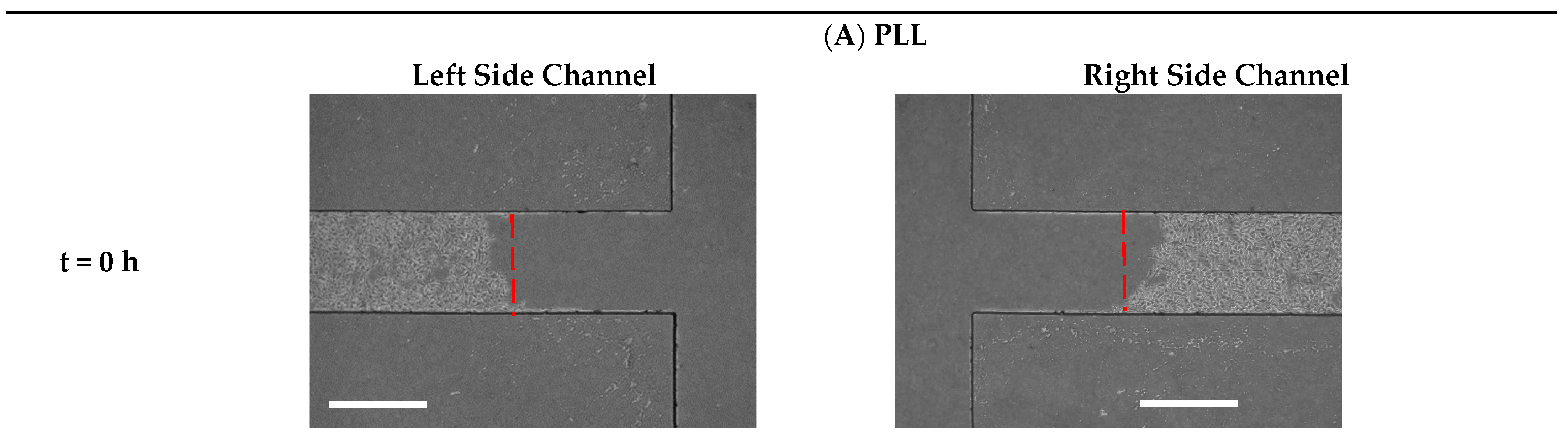 Biosensors 13 00290 g007a Biosensors 13 00290 g007a