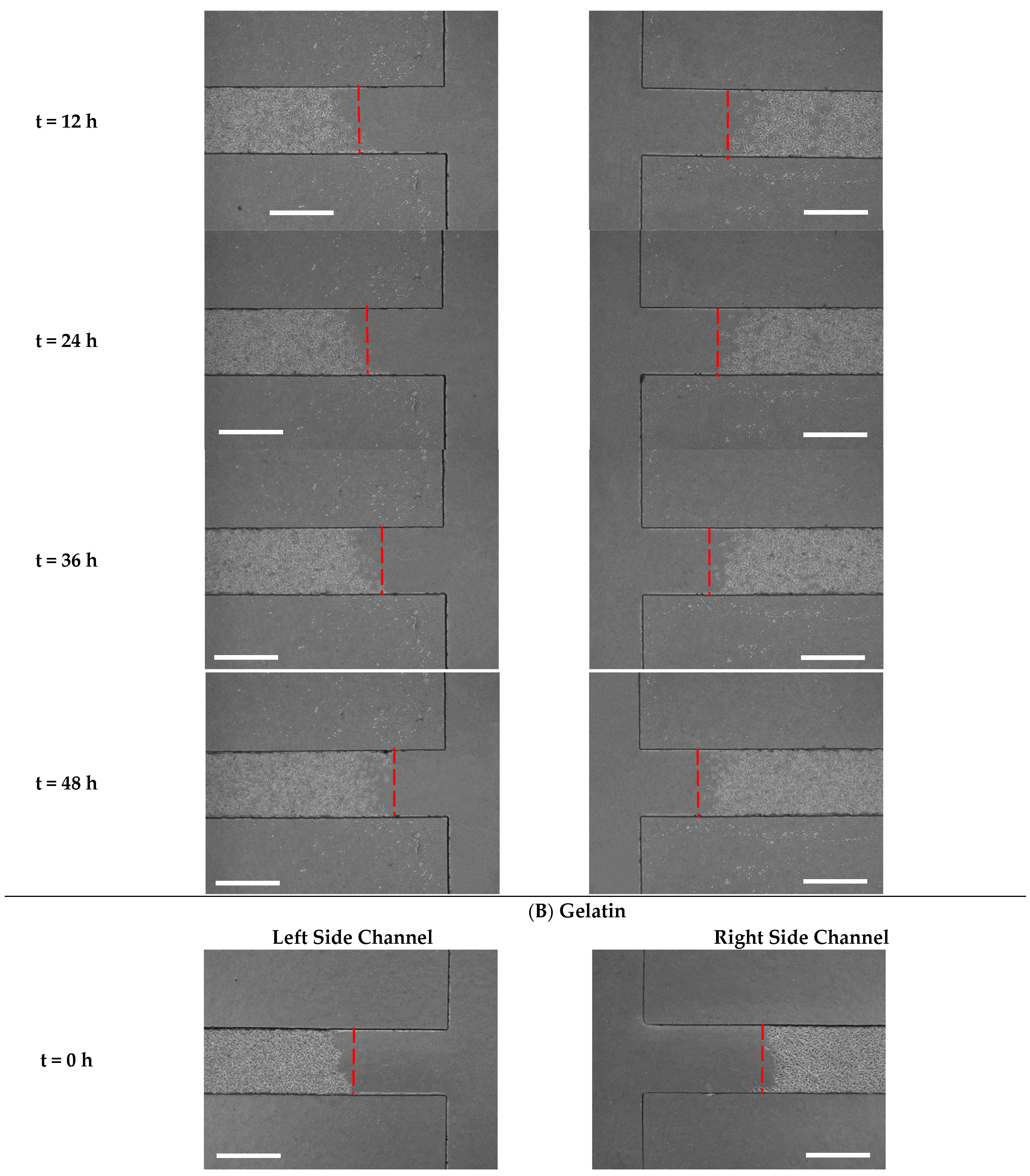 Biosensors 13 00290 g007b Biosensors 13 00290 g007b