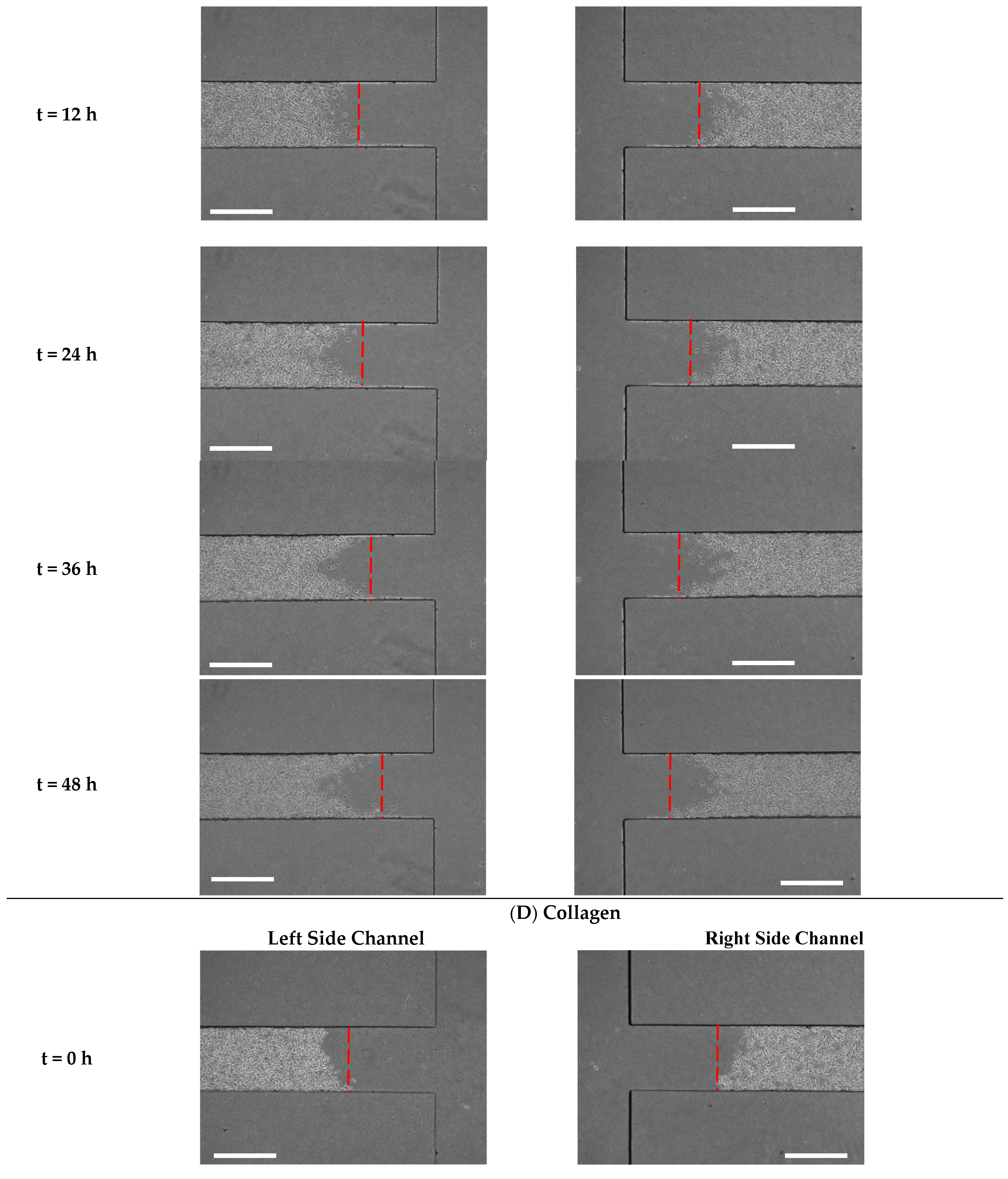 Biosensors 13 00290 g007d Biosensors 13 00290 g007d