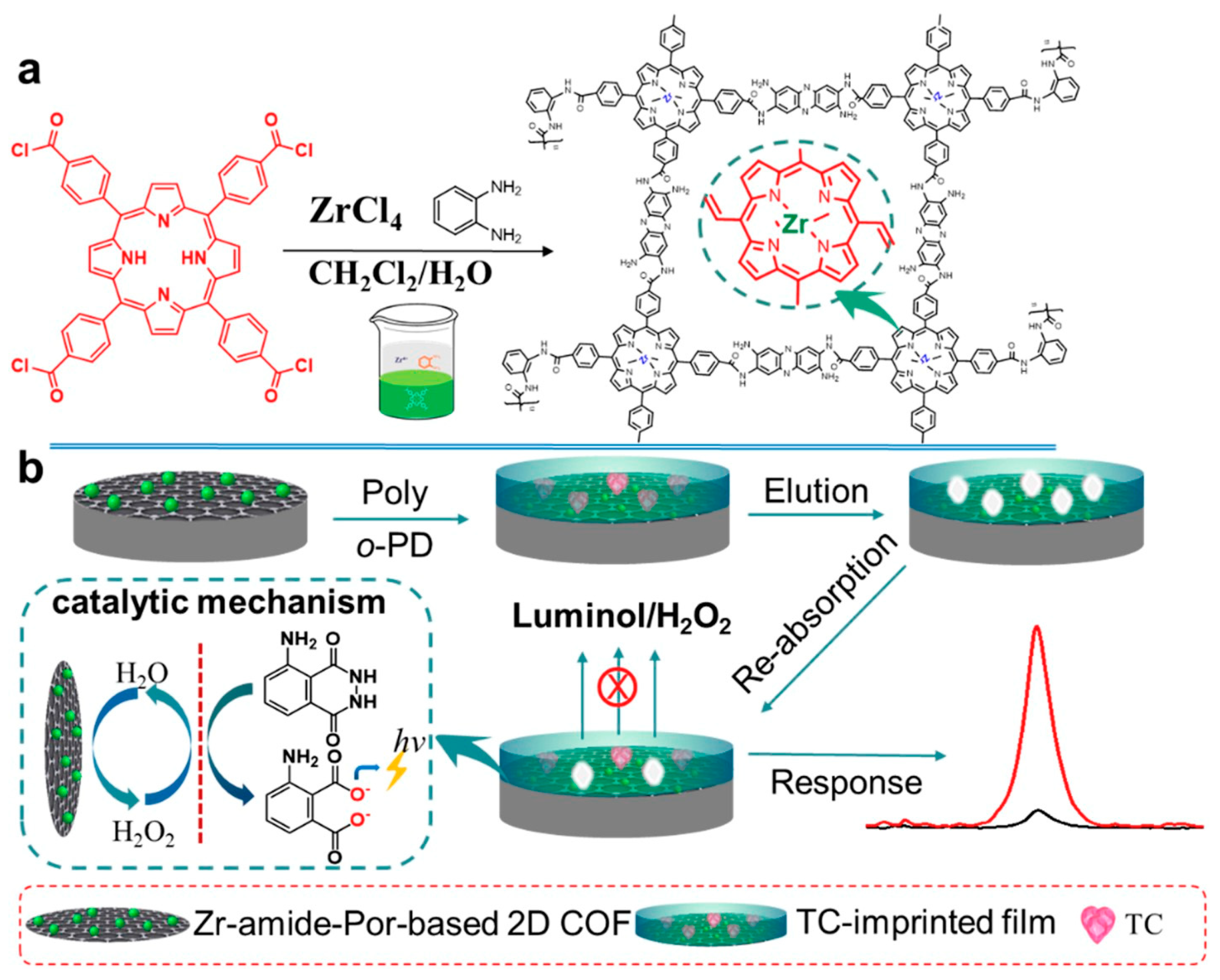 Biosensors 13 00291 g006 Biosensors 13 00291 g006