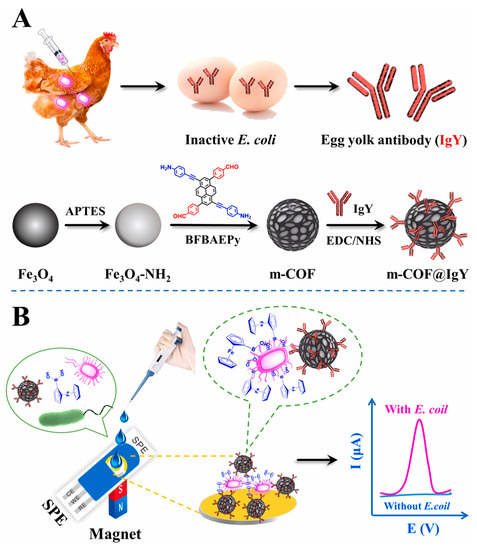 Covalent Organic Frameworks-Based Electrochemical Sensors