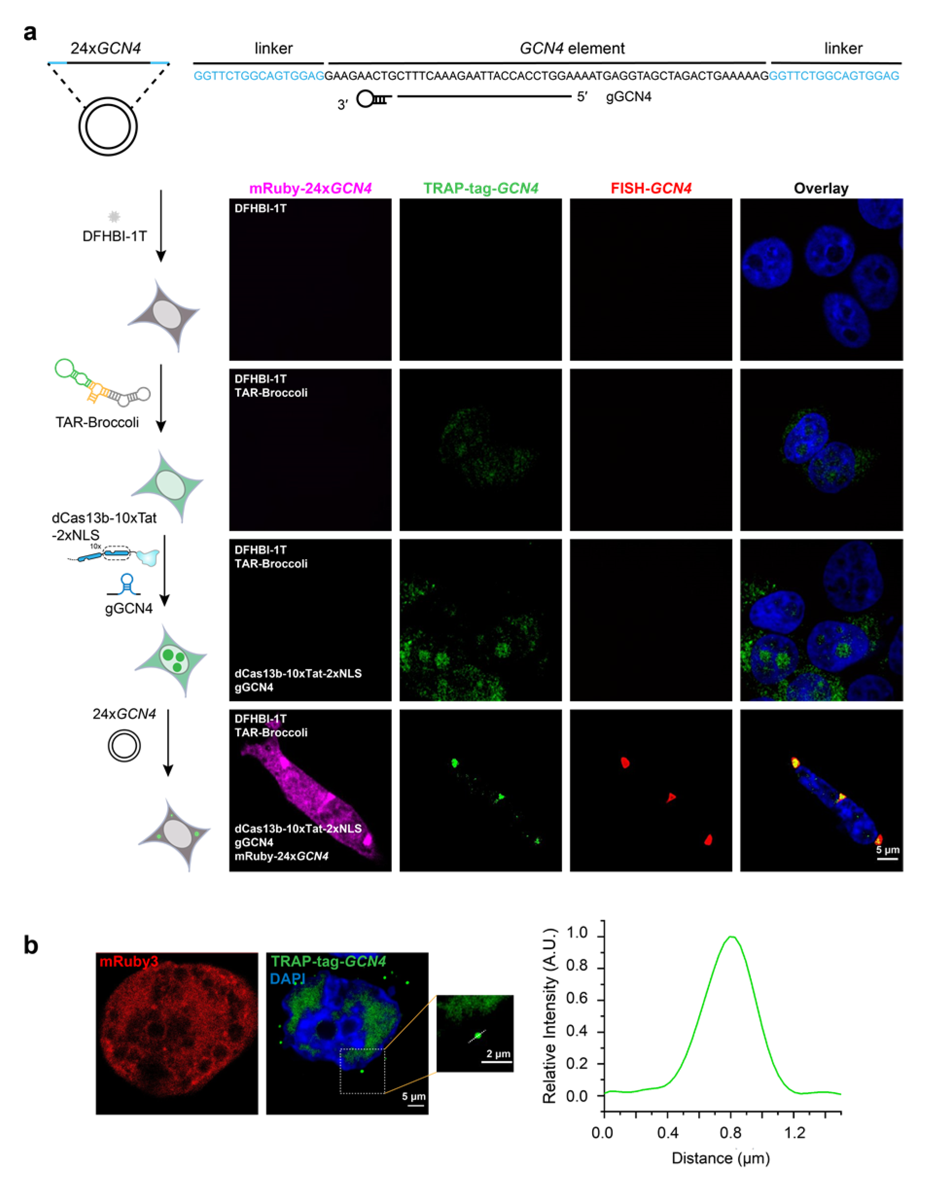 Biosensors 13 00293 g002 Biosensors 13 00293 g002
