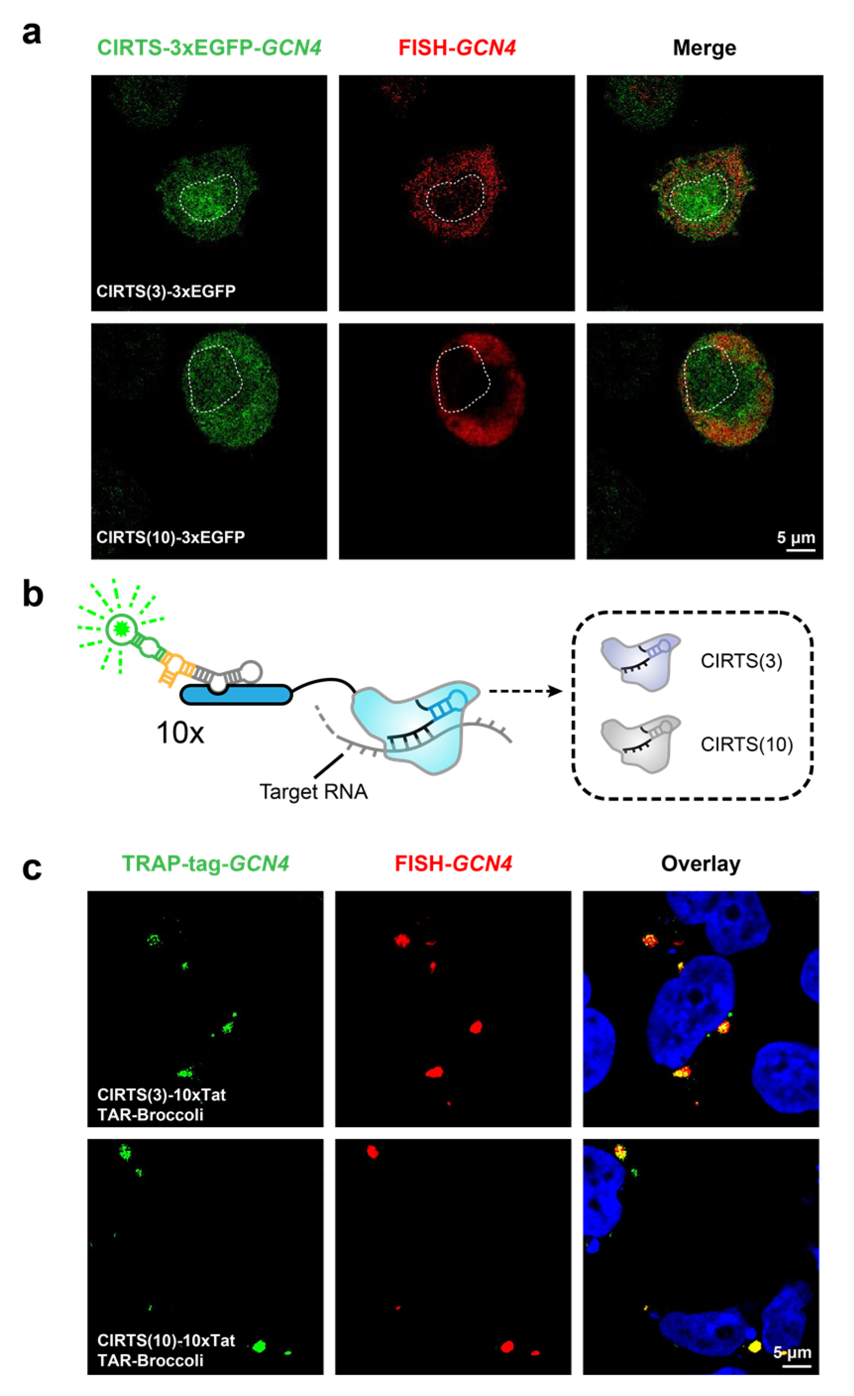 Biosensors 13 00293 g004 Biosensors 13 00293 g004