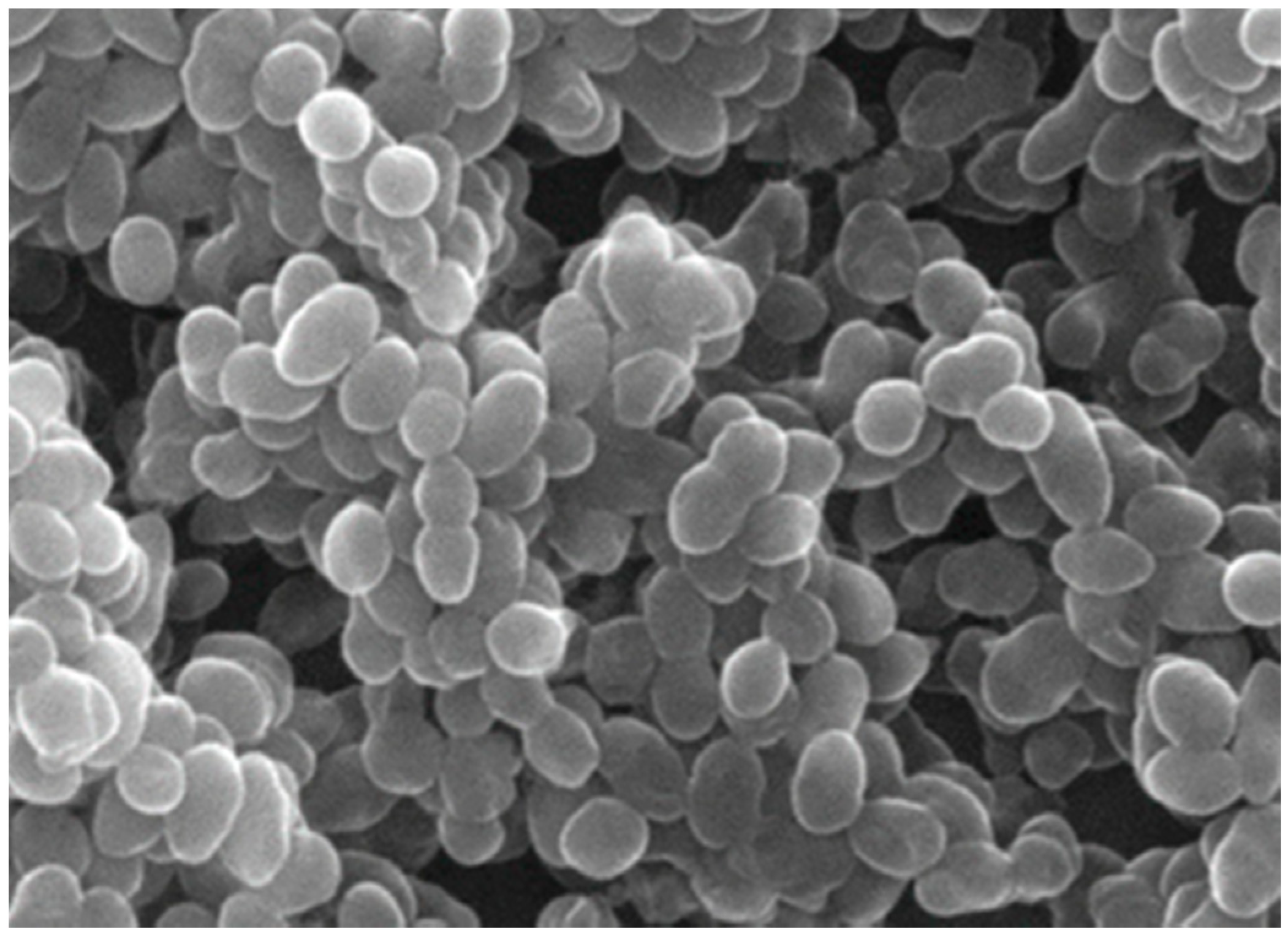 Biosensors 13 00294 g001 Biosensors 13 00294 g001