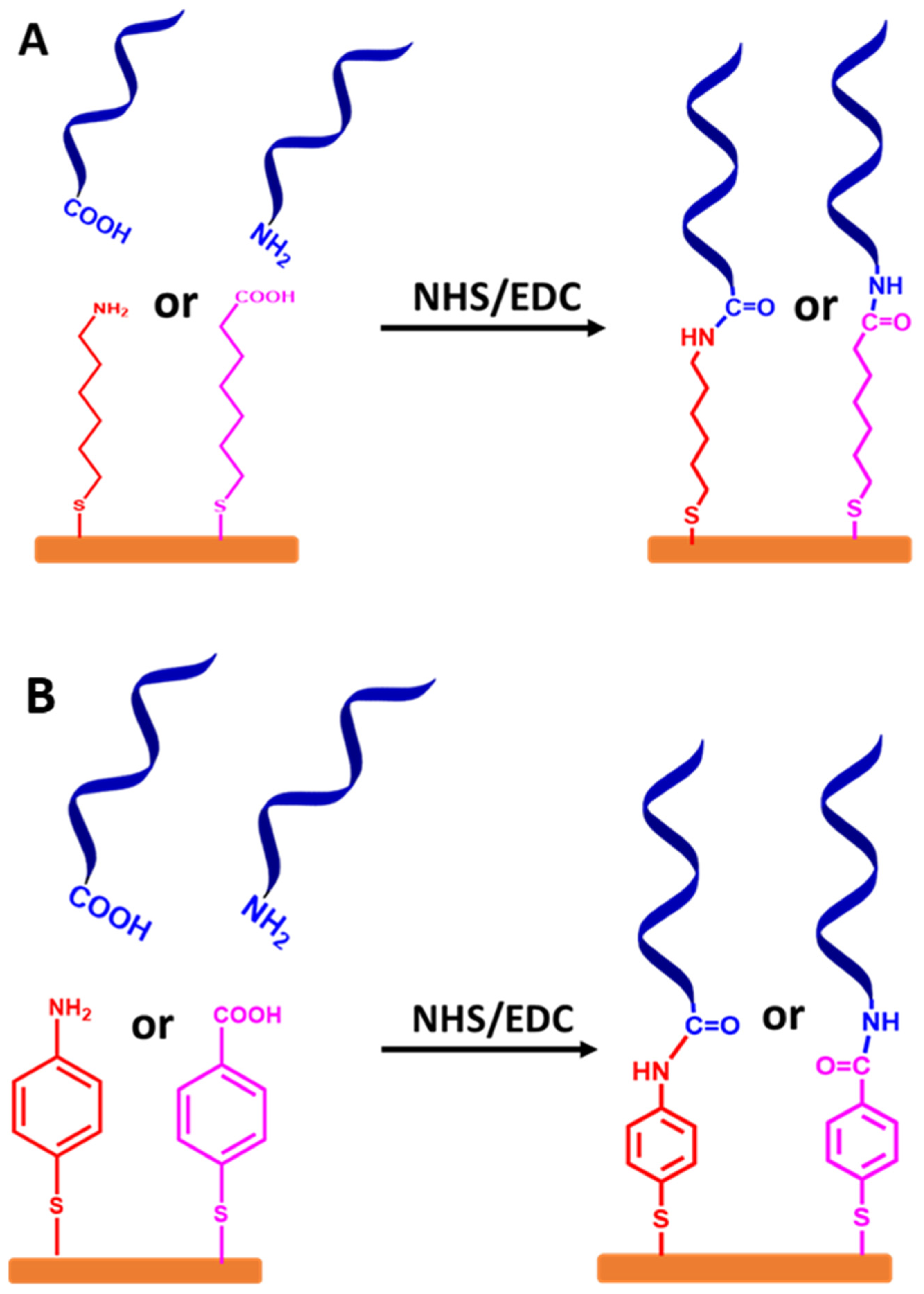 Biosensors 13 00294 g008 Biosensors 13 00294 g008