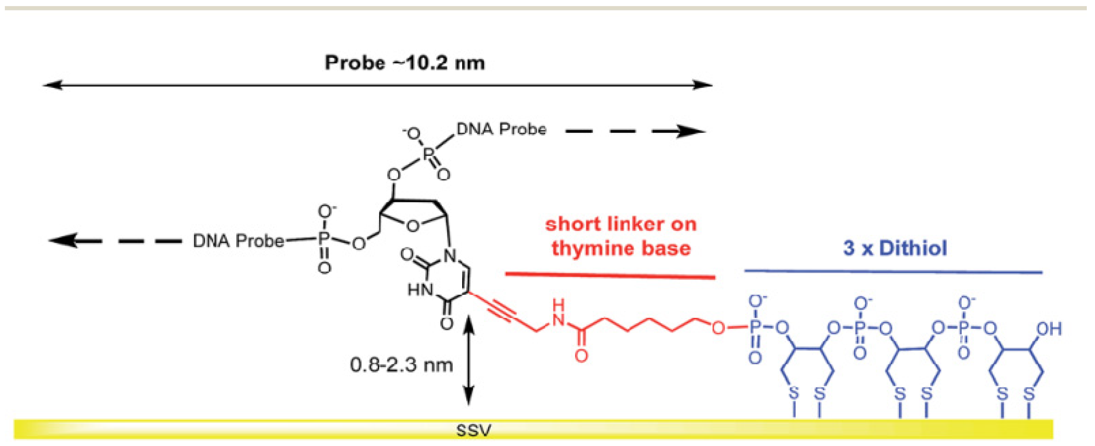 Biosensors 13 00294 g010 Biosensors 13 00294 g010