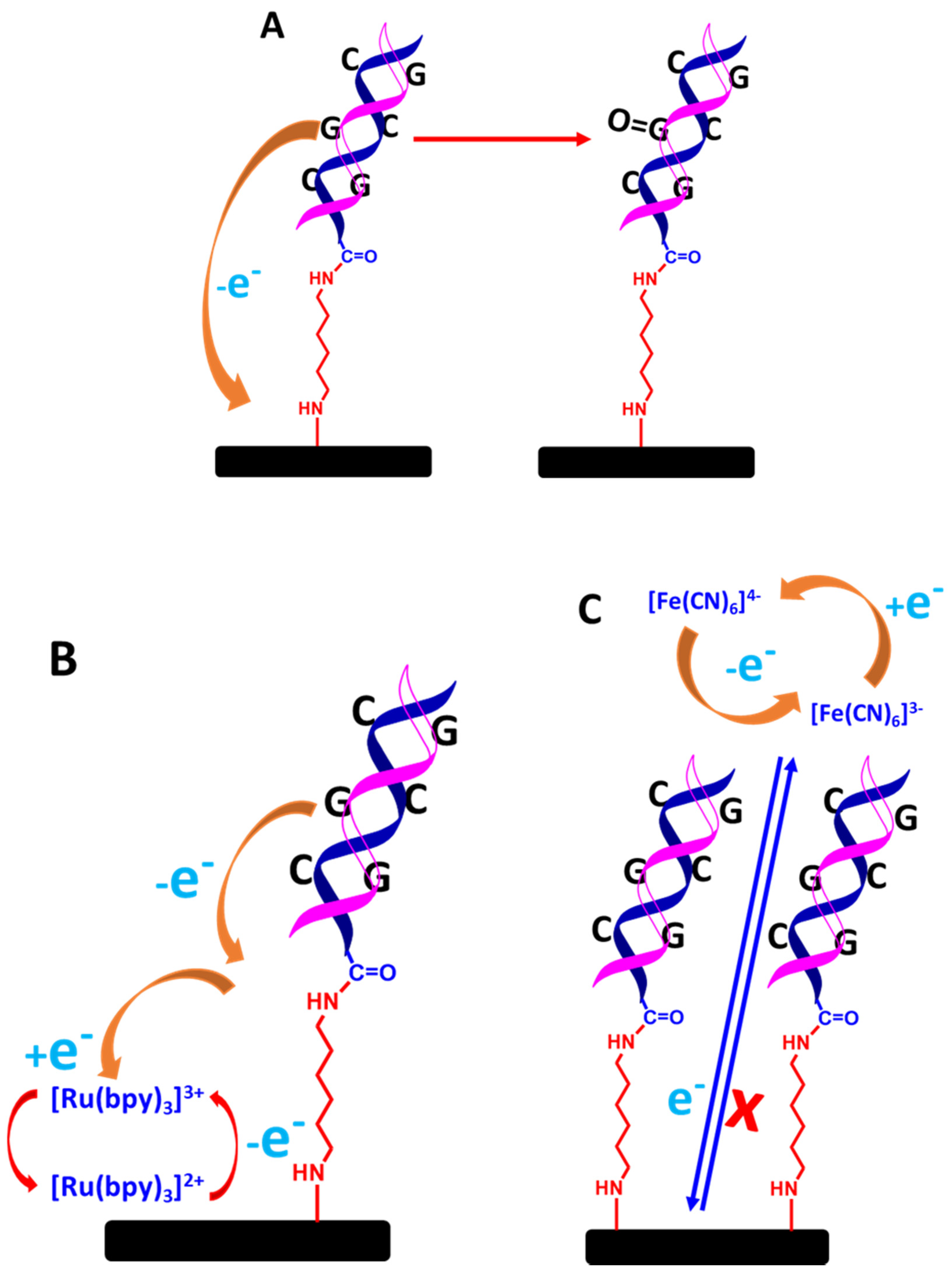 Biosensors 13 00294 g013 Biosensors 13 00294 g013