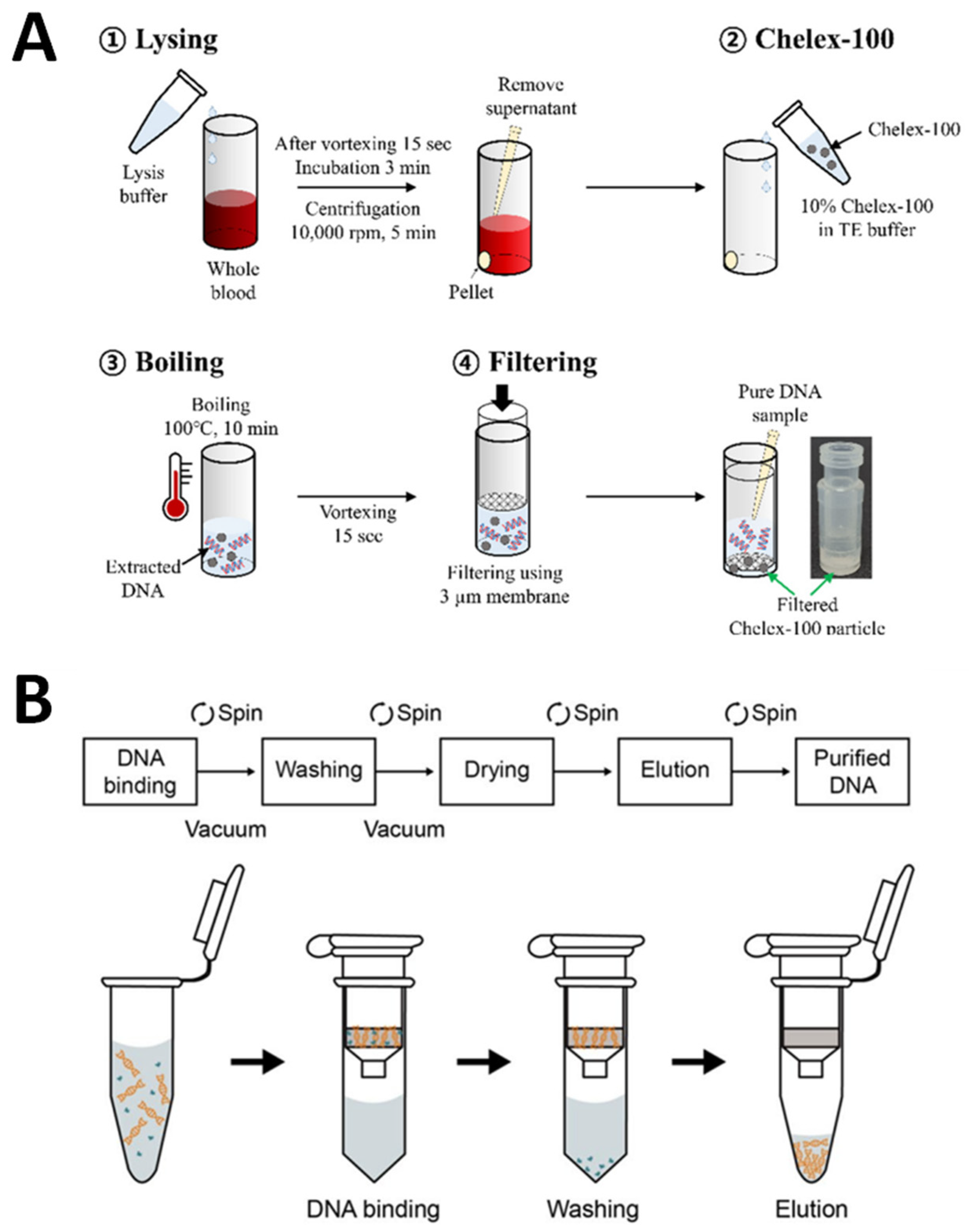 Biosensors 13 00294 g015 Biosensors 13 00294 g015