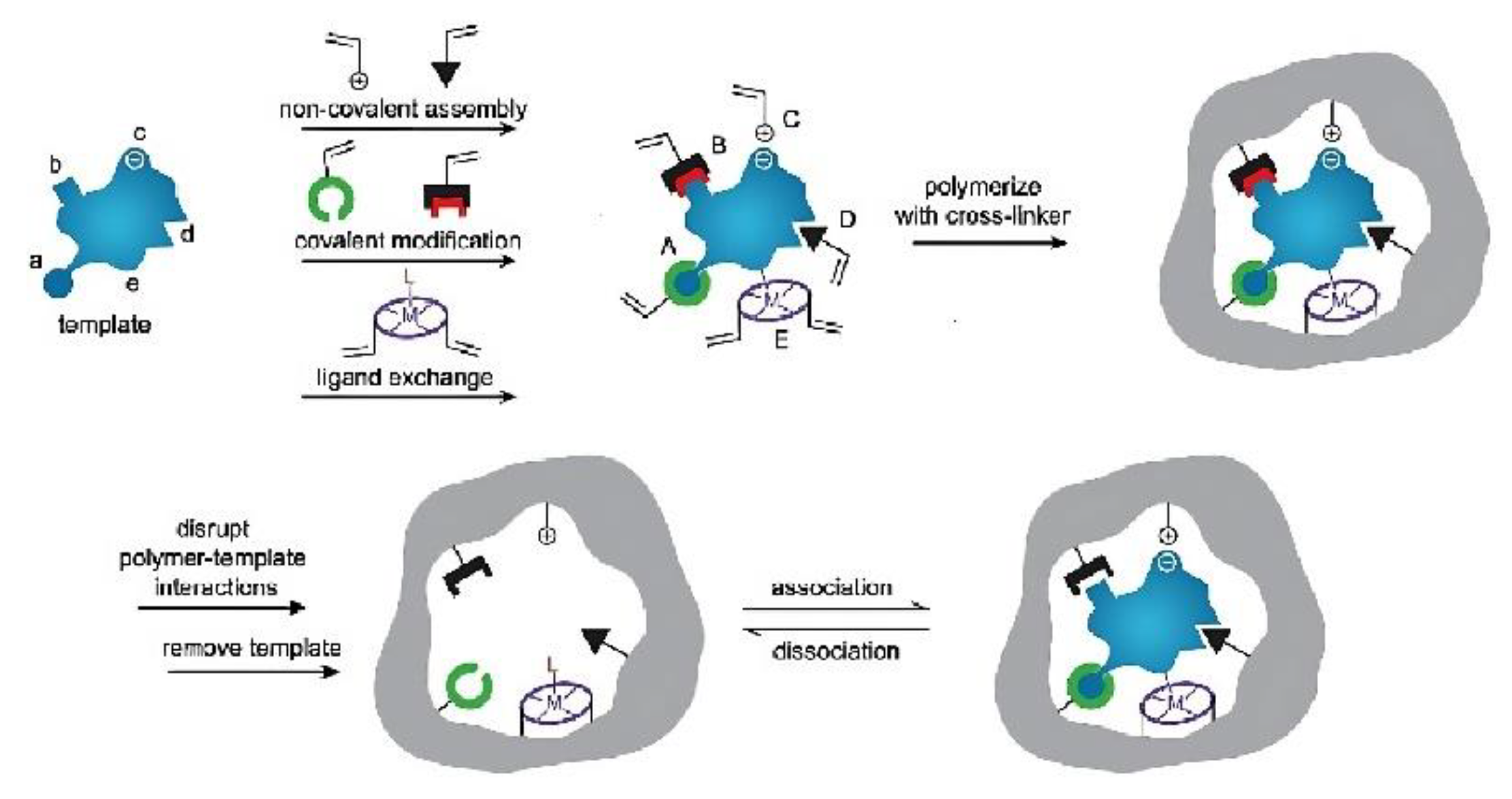 Biosensors 13 00295 g002