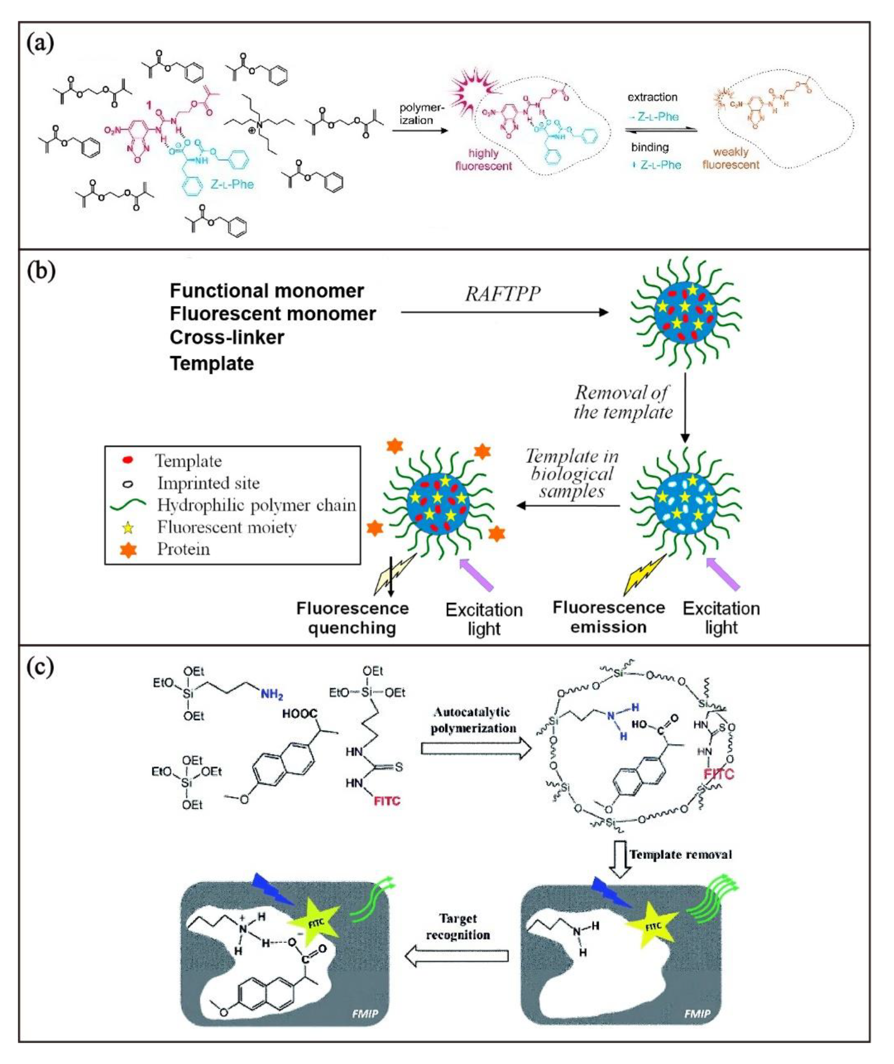 Biosensors 13 00295 g003