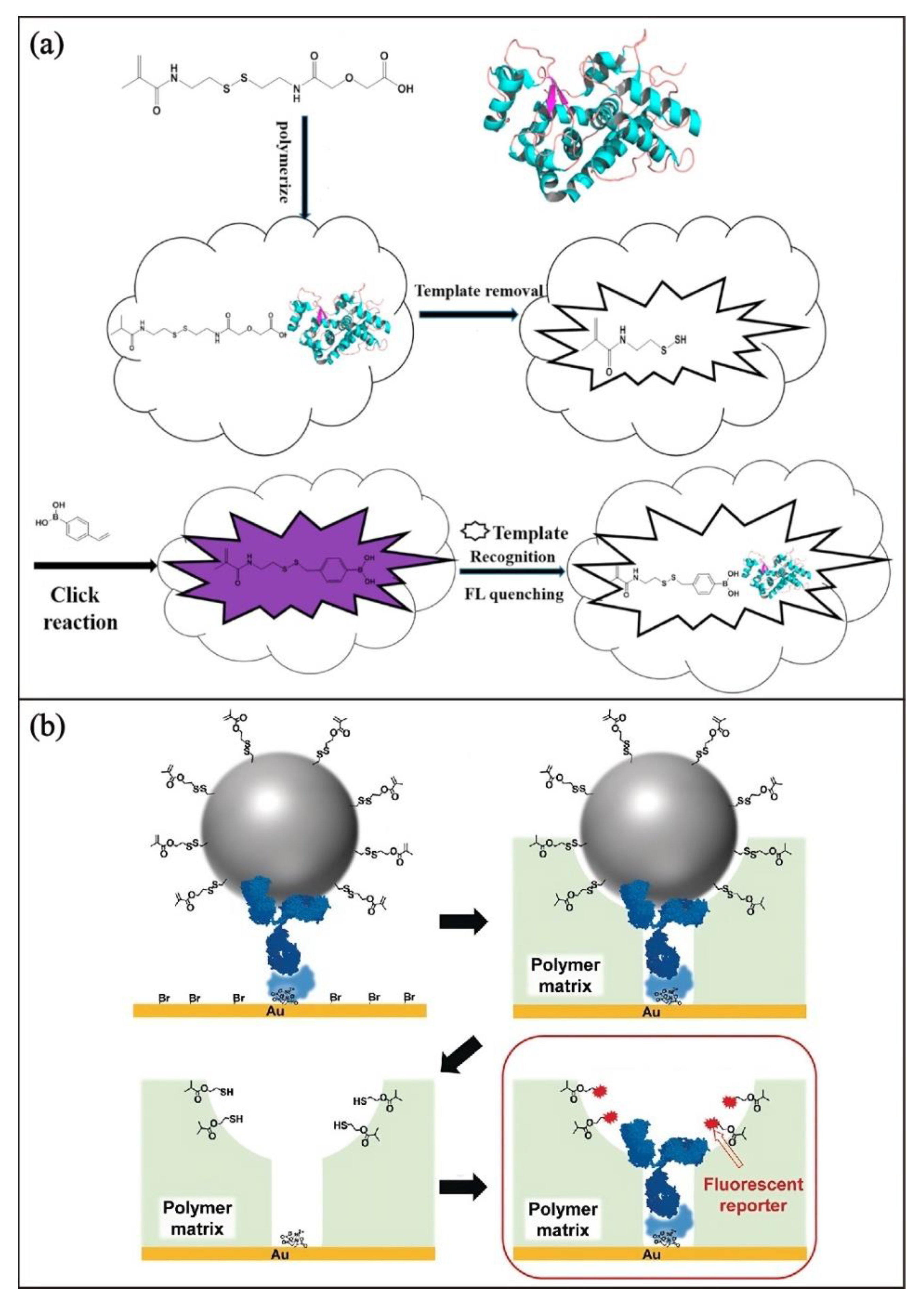 Biosensors 13 00295 g004