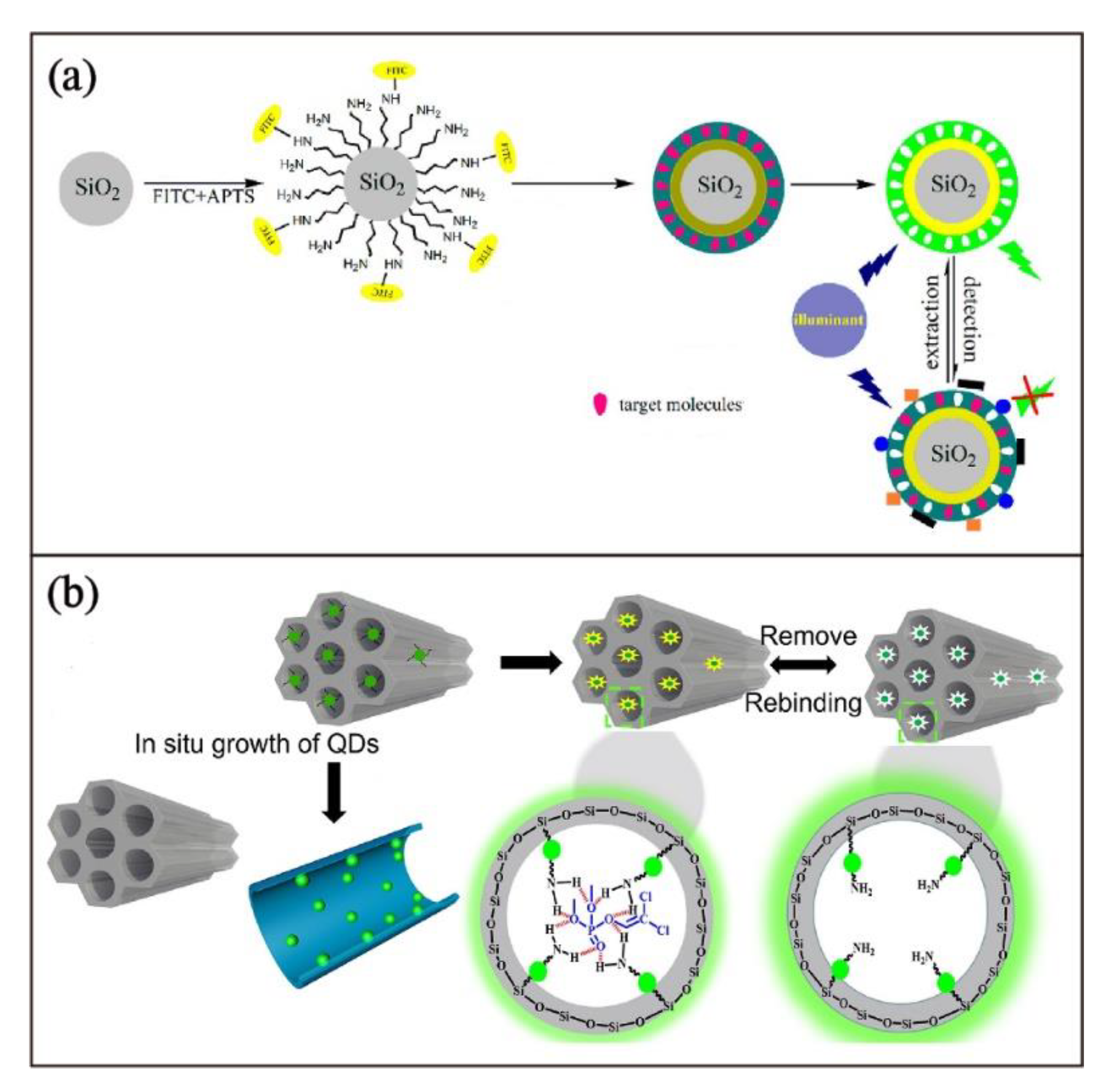 Biosensors 13 00295 g006