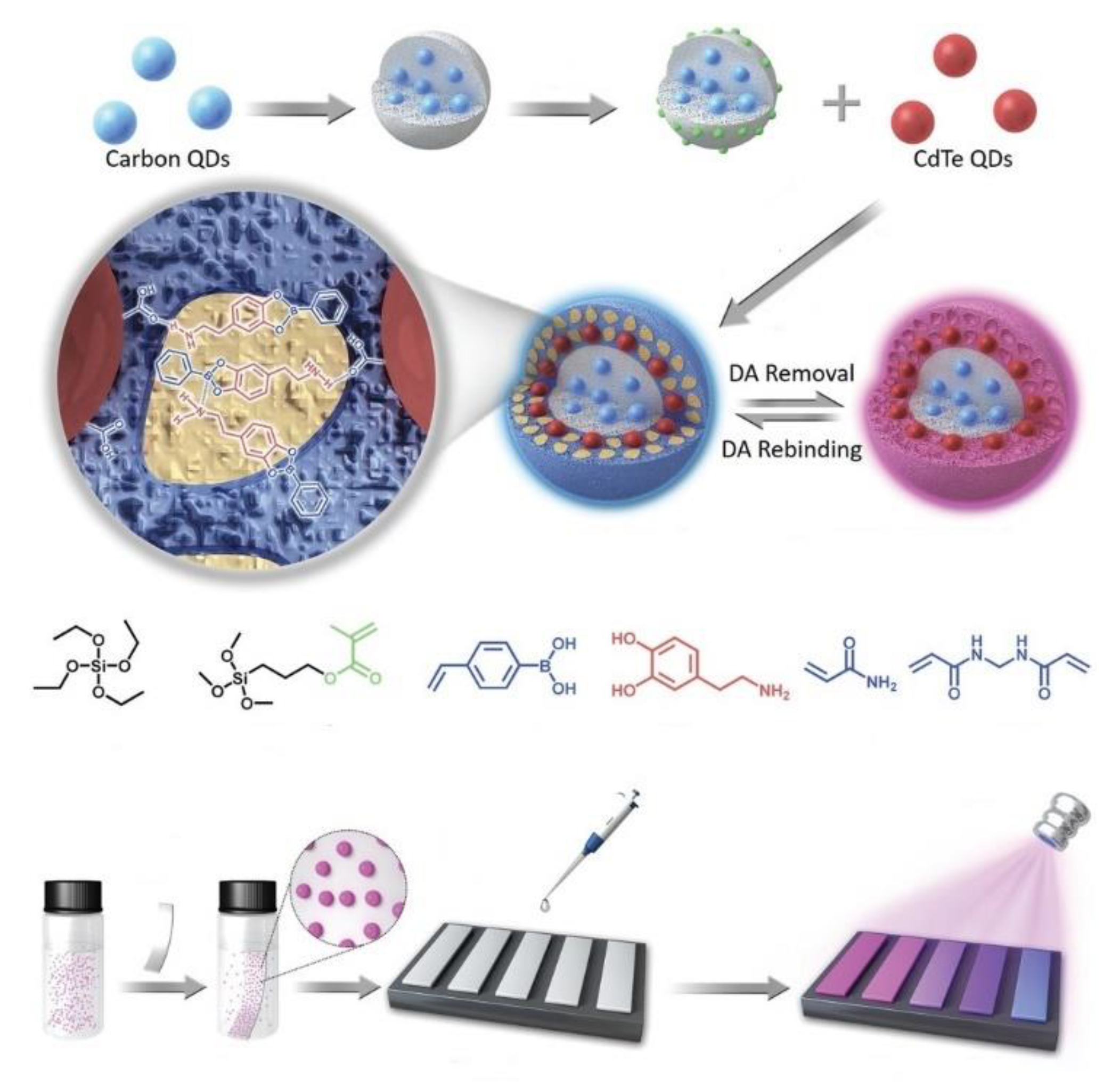 Biosensors 13 00295 g010