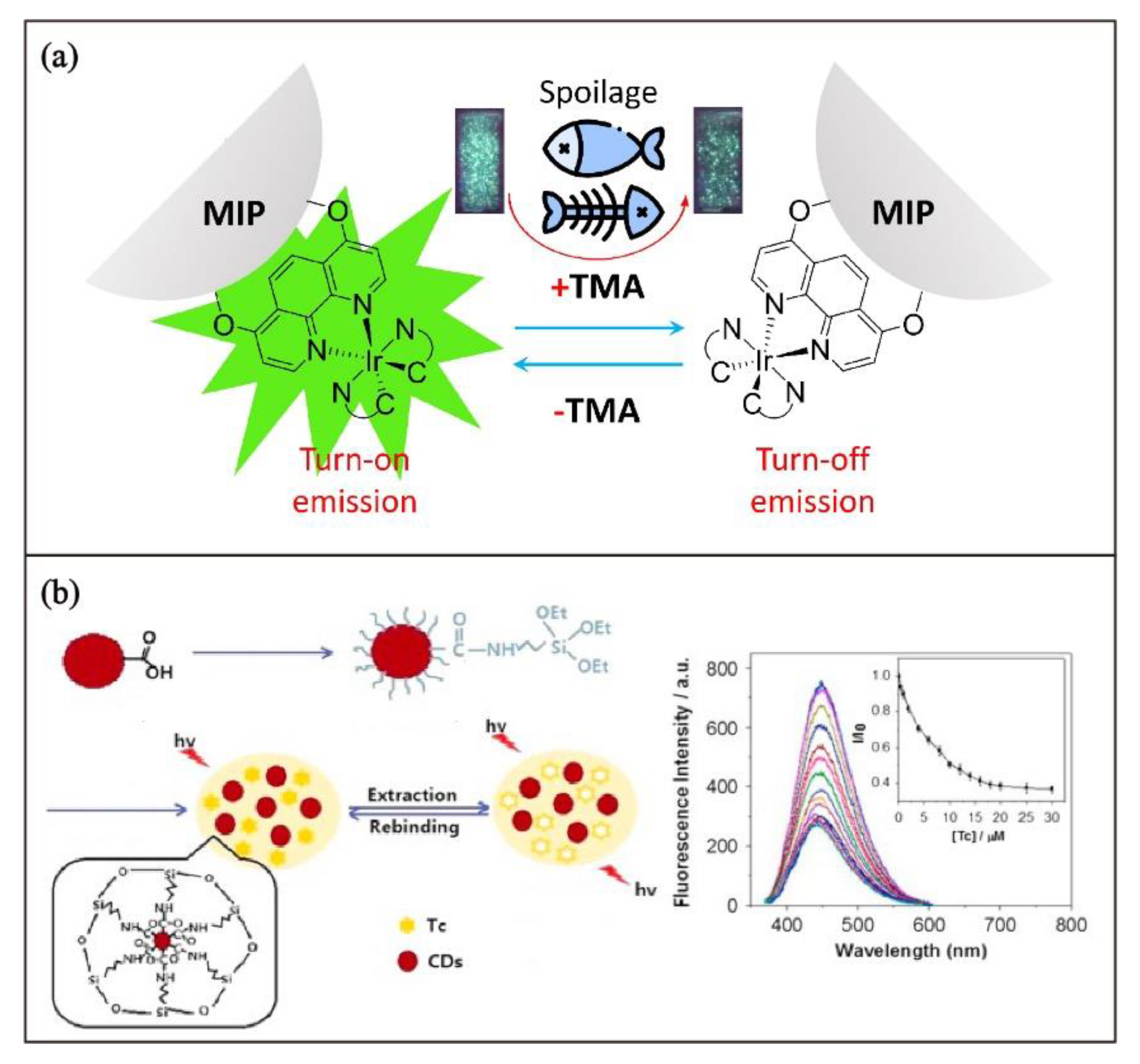 Biosensors 13 00295 g012