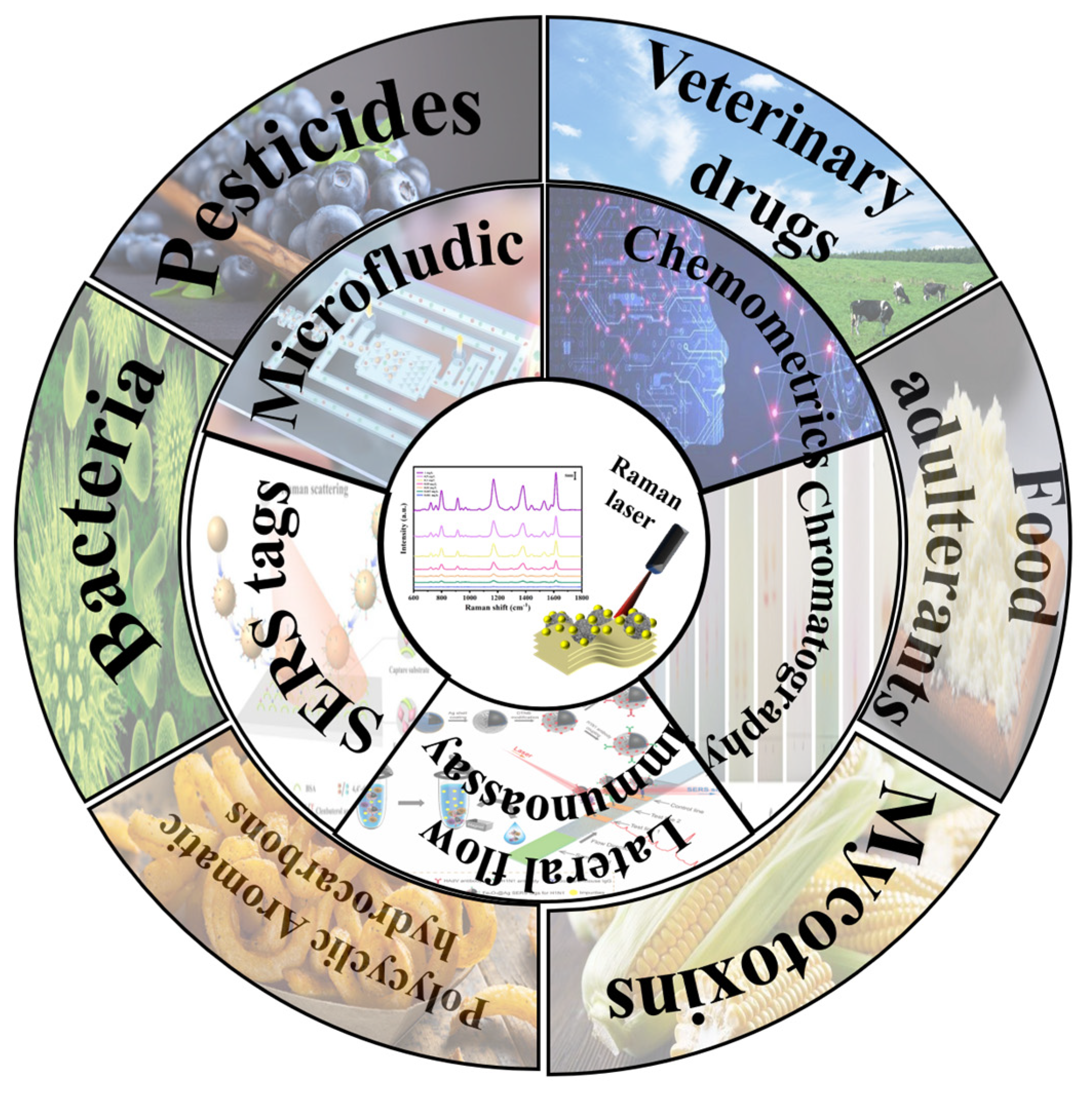 Biosensors 13 00296 g001