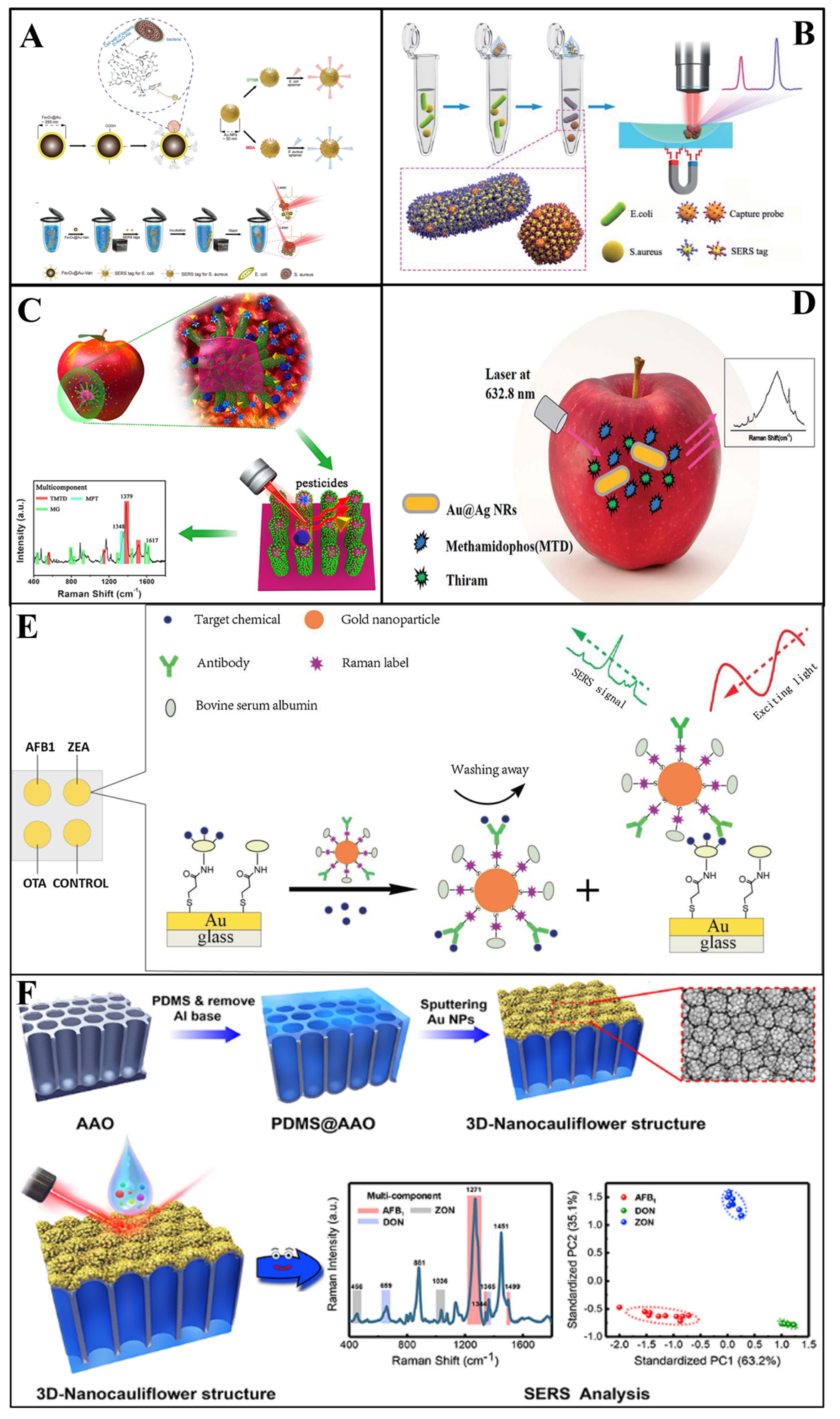 Biosensors 13 00296 g004
