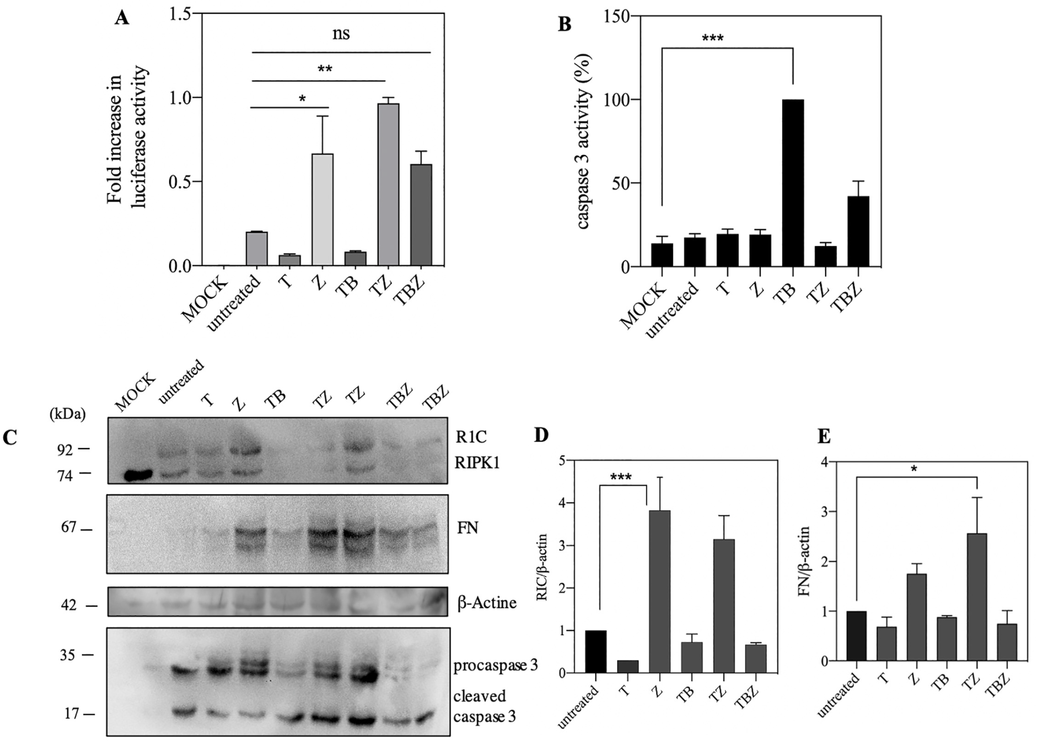 Biosensors 13 00297 g002 Biosensors 13 00297 g002