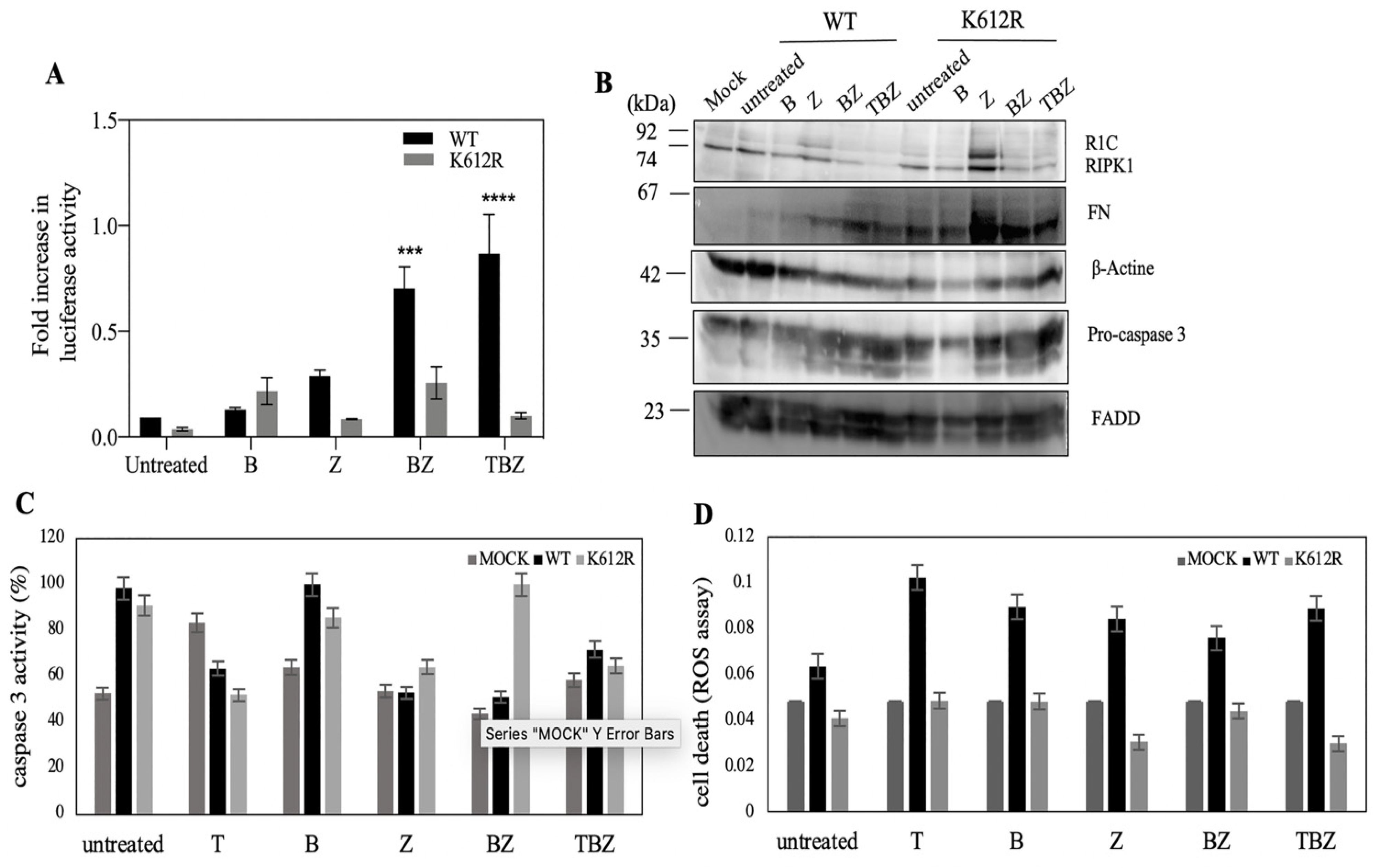 Biosensors 13 00297 g003 Biosensors 13 00297 g003