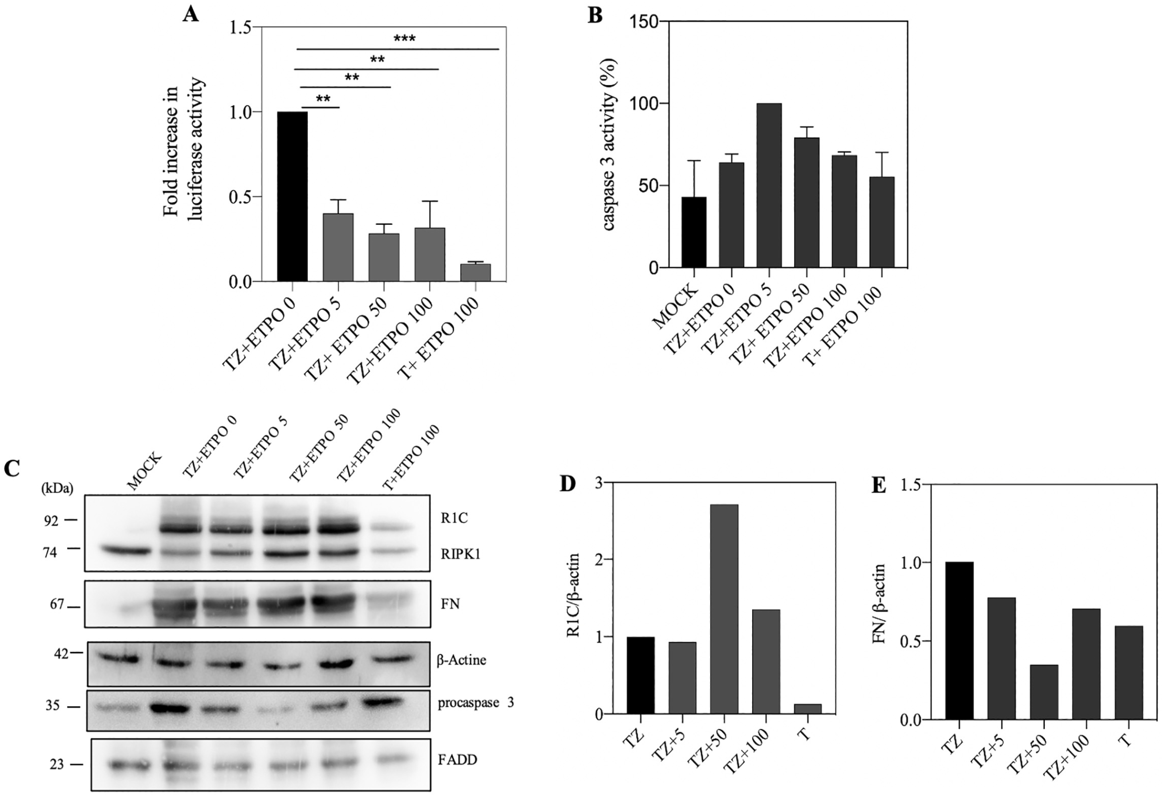 Biosensors 13 00297 g004 Biosensors 13 00297 g004