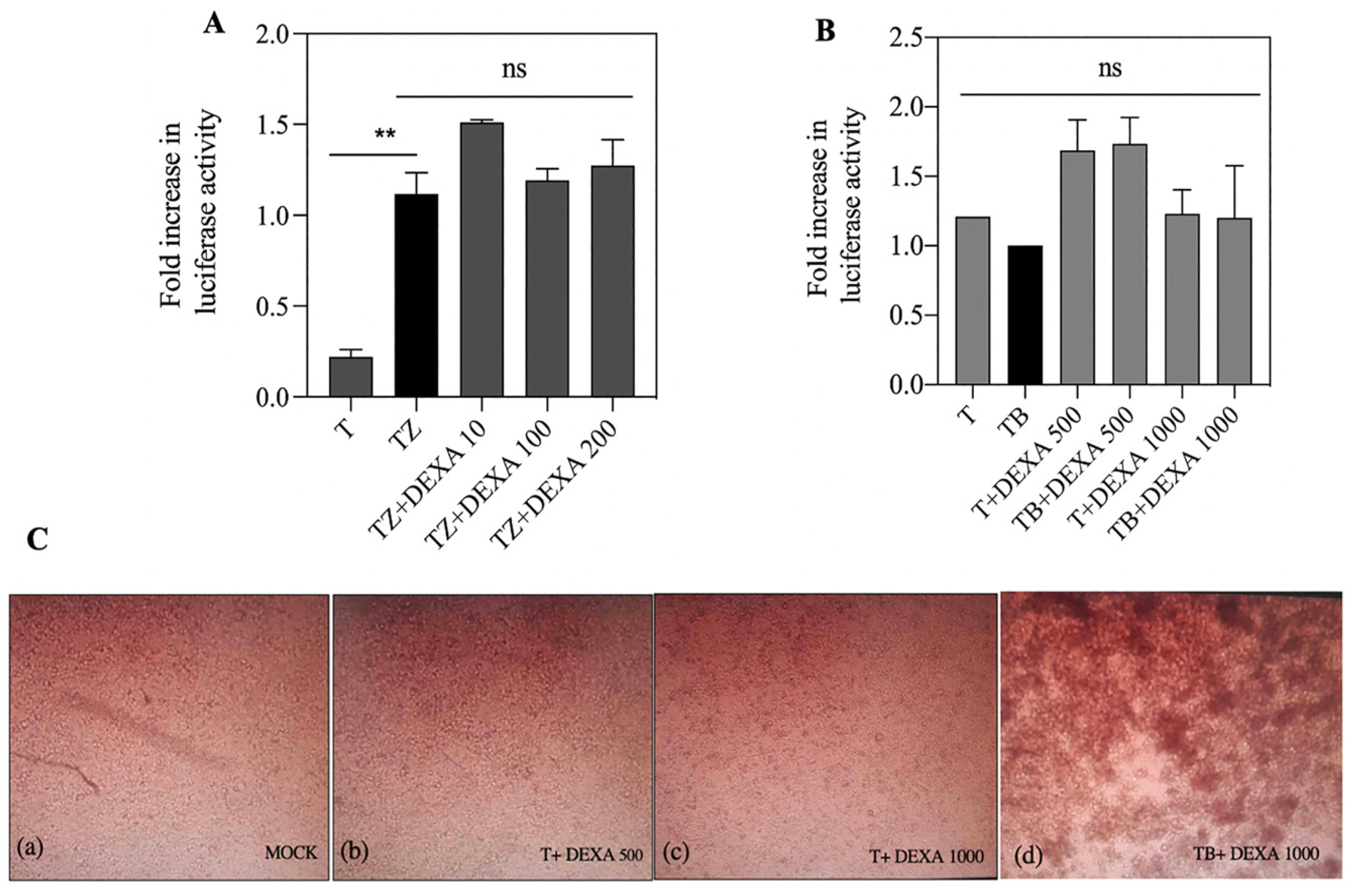 Biosensors 13 00297 g006 Biosensors 13 00297 g006