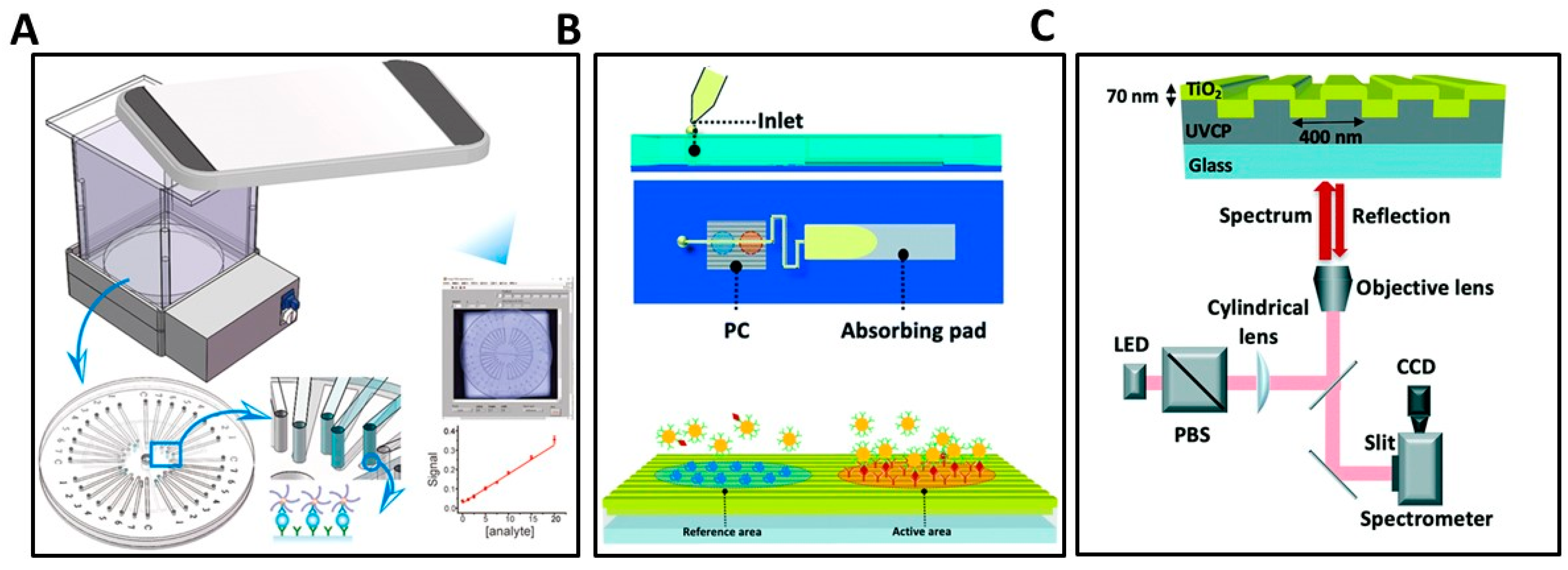 Biosensors 13 00298 g004