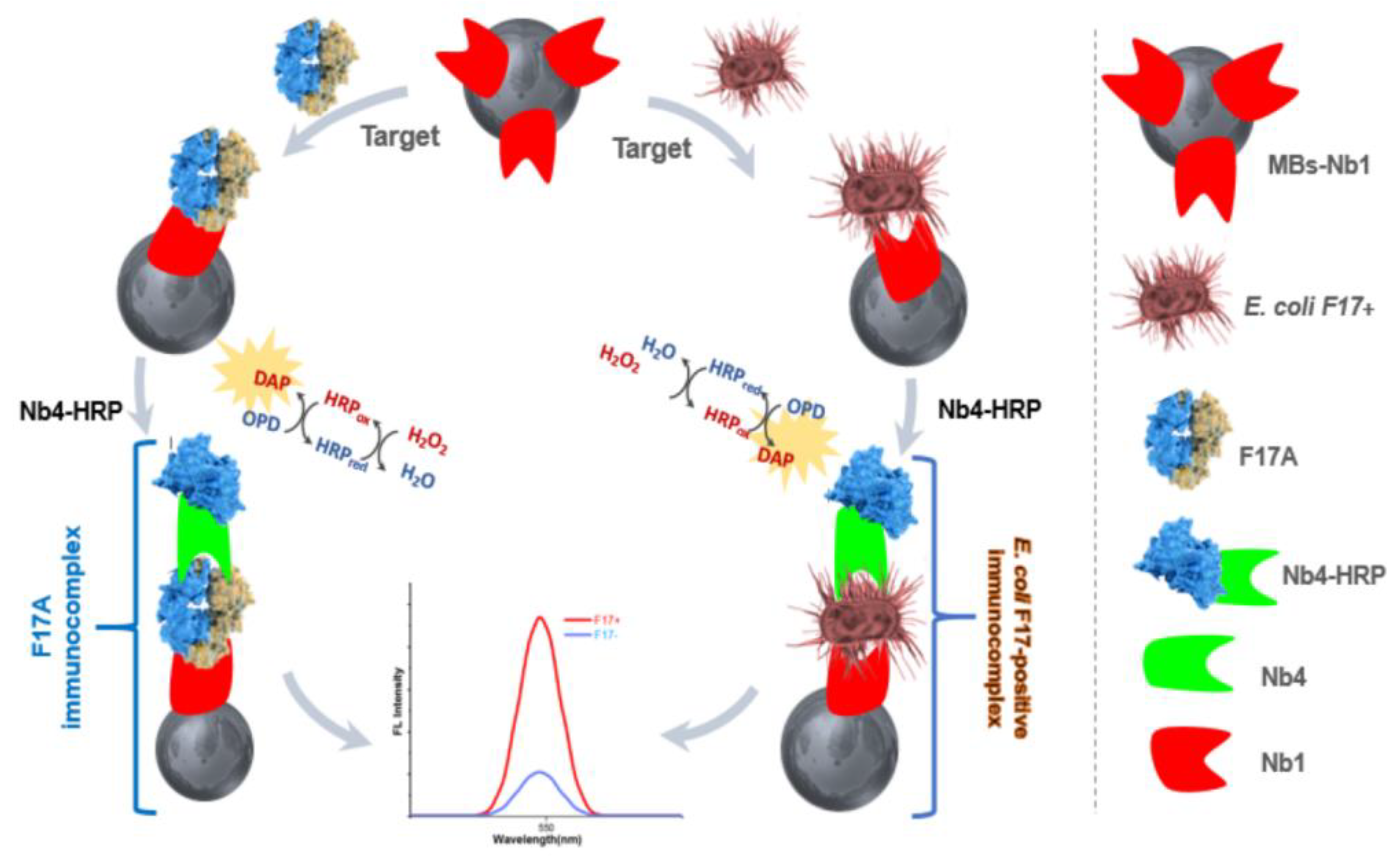 Biosensors 13 00299 sch001