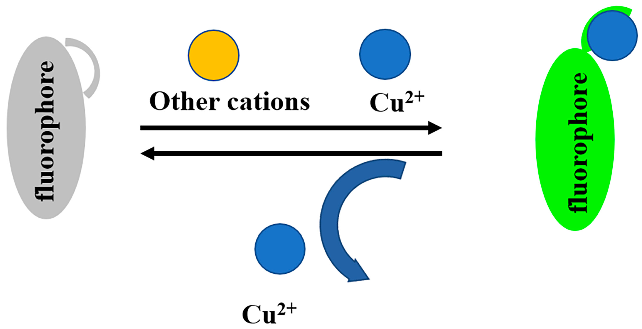 Biosensors 13 00301 g001 Biosensors 13 00301 g001