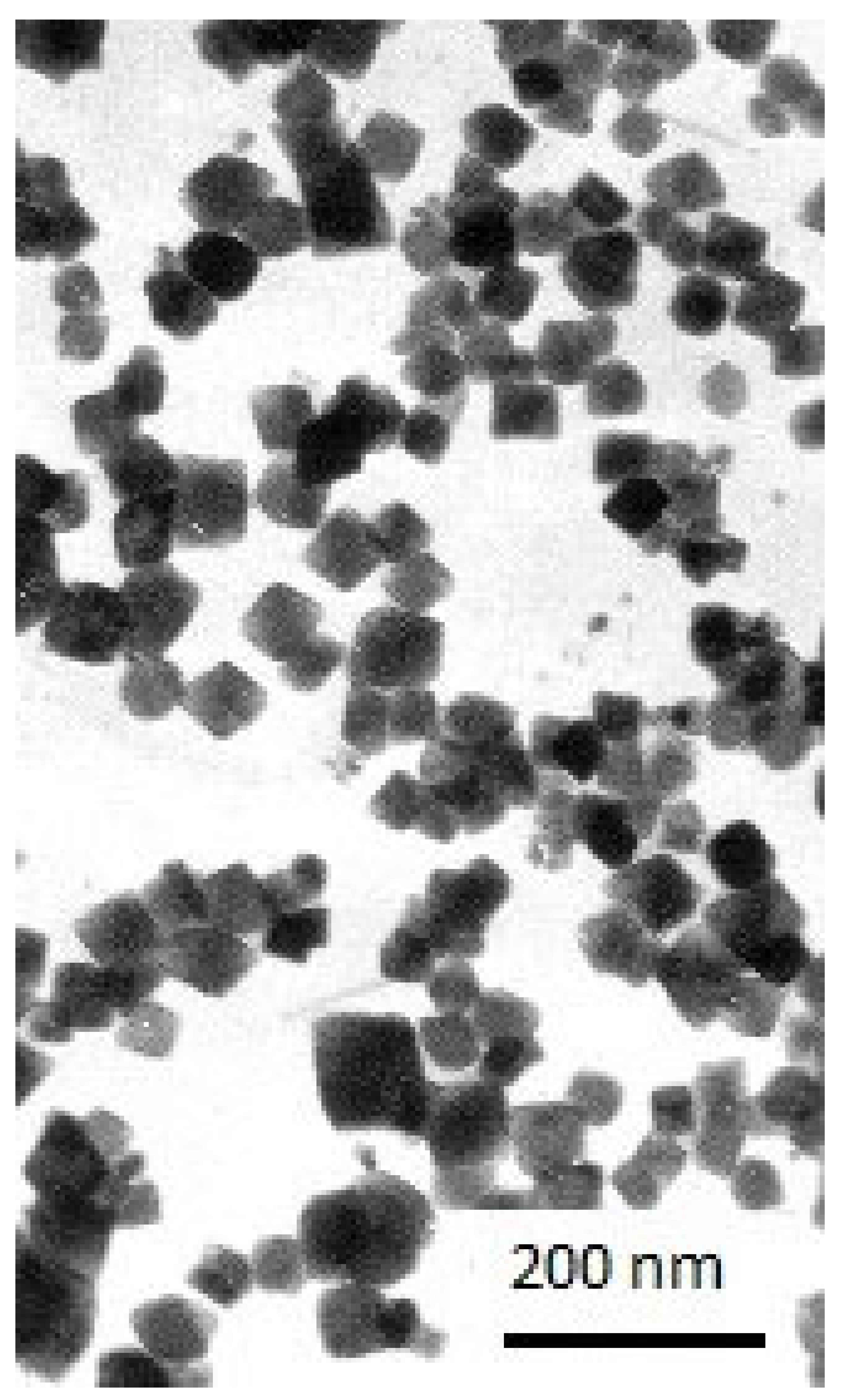 Biosensors 13 00304 g003