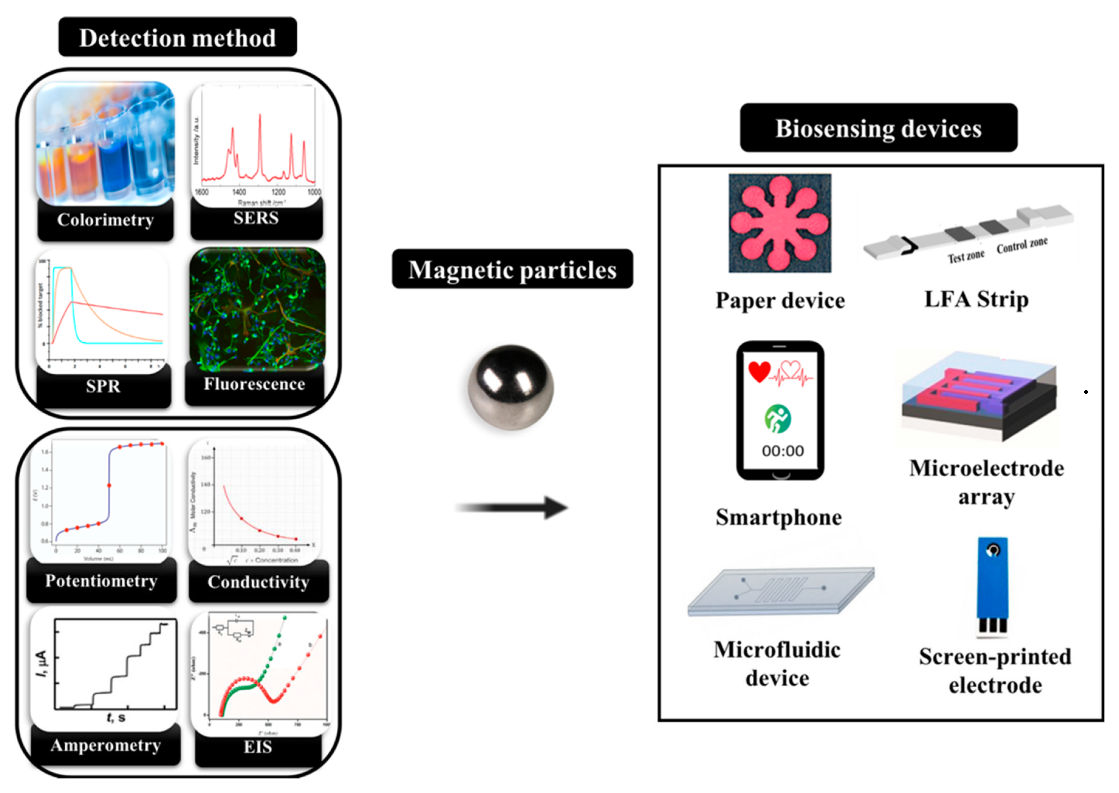 Biosensors 13 00304 g009