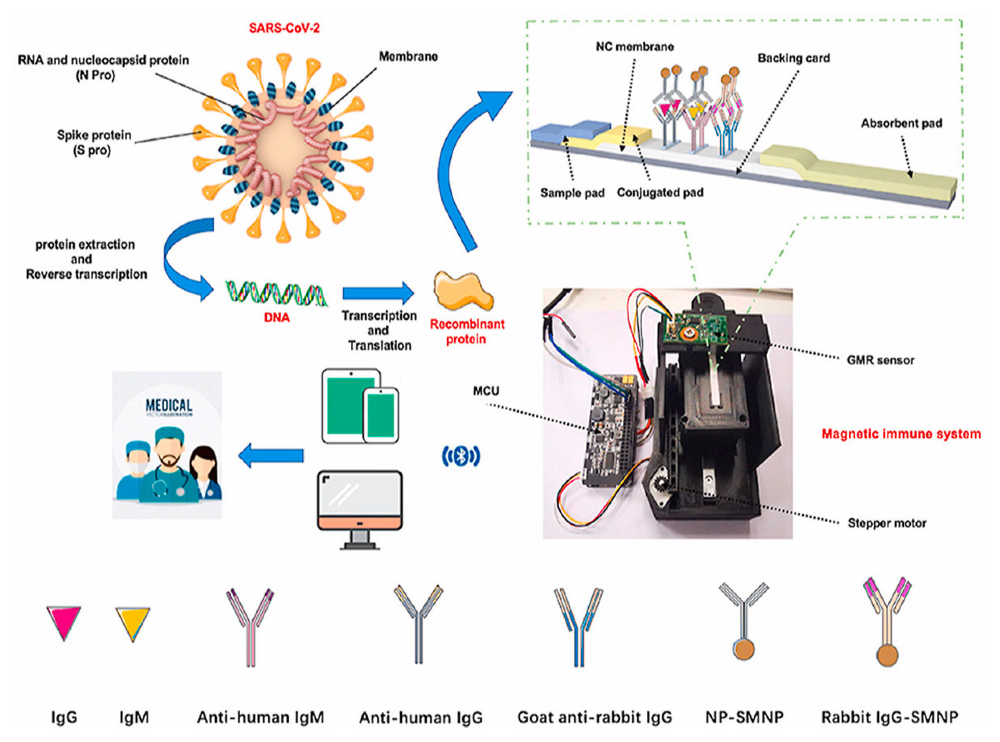 Biosensors 13 00304 g011